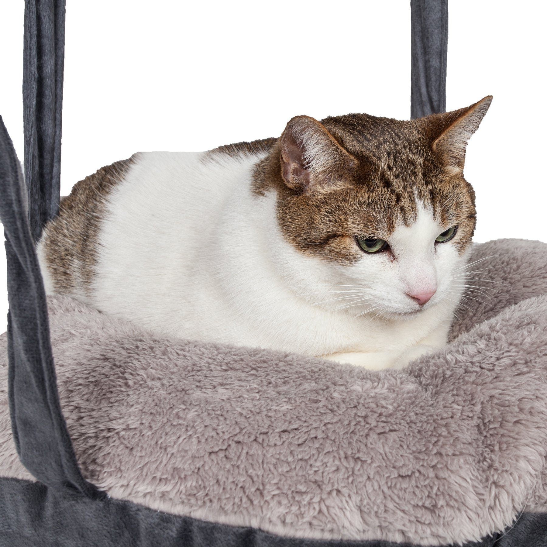 Grey hanging cat hammock lounger with plush oval cushion; tabby cat resting inside