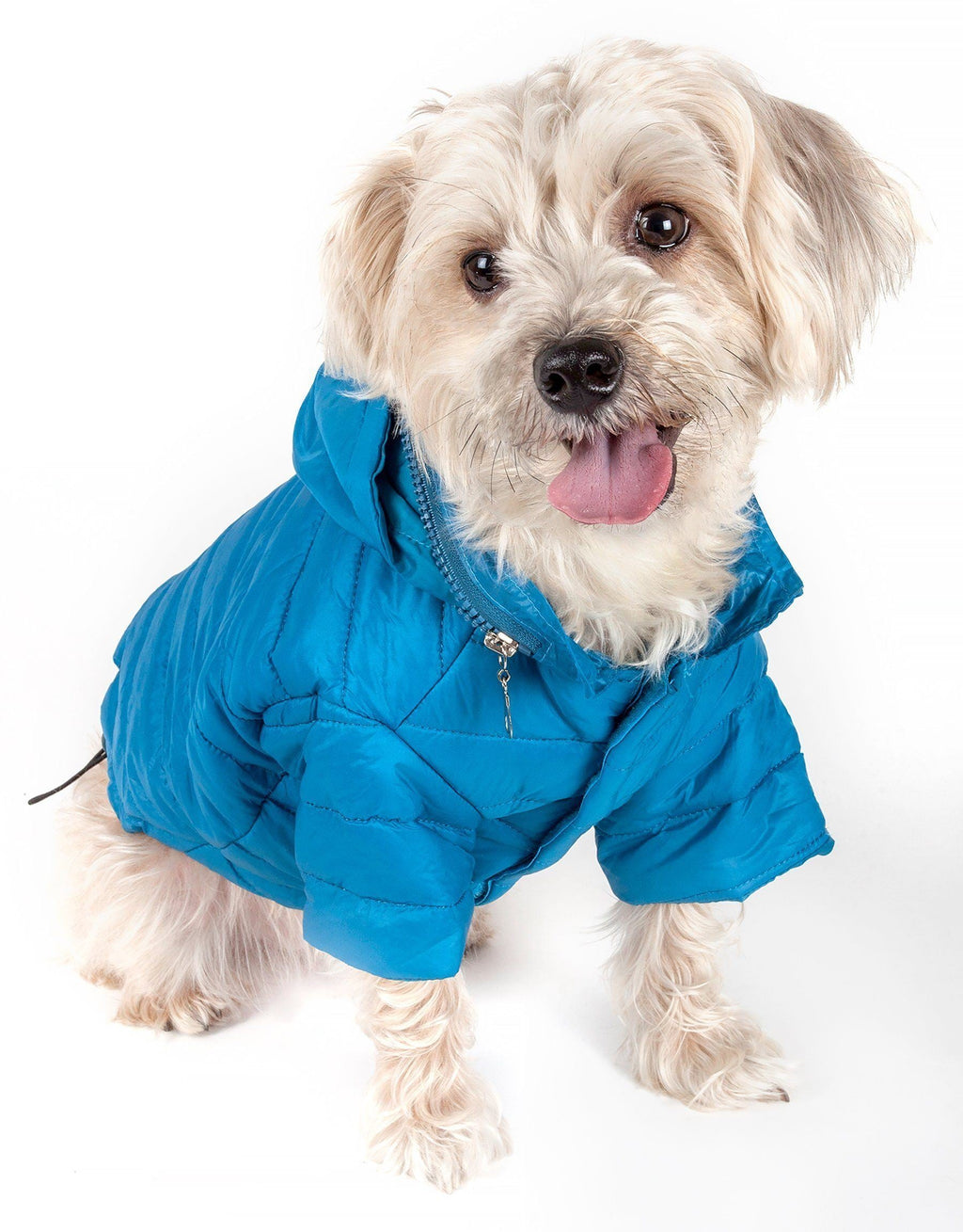 Blue lightweight dog coat with pop-out zipper hood, visible front zipper pull