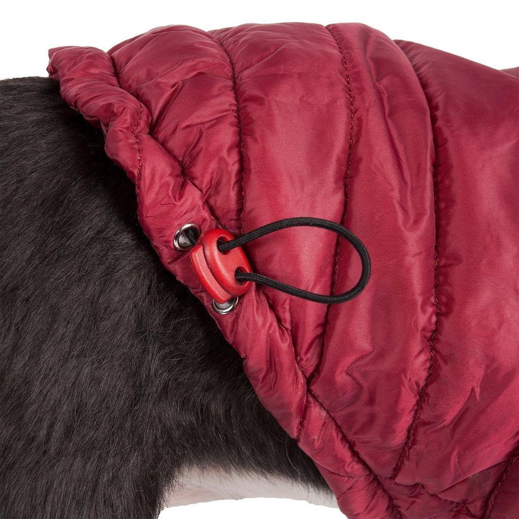 Close-up burgundy red puffer dog coat with adjustable snap rings on chest strap