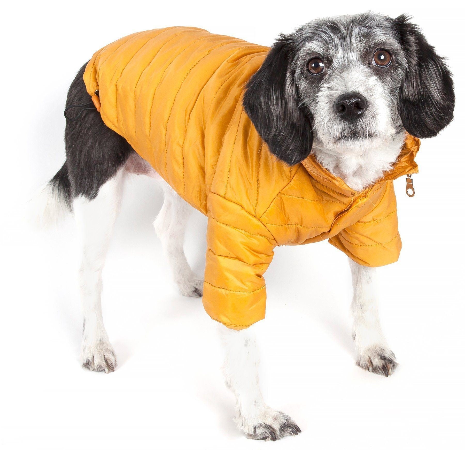 Mustard yellow lightweight dog coat with pop-out zipper hood and adjustable straps