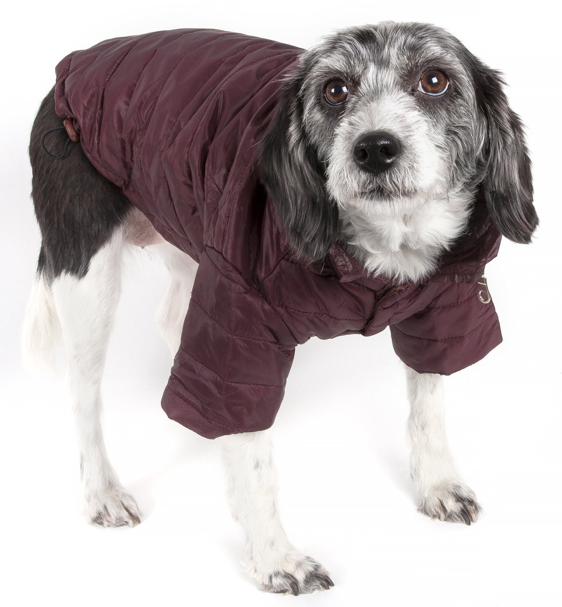 Dark burgundy lightweight dog coat with pop-out zipper hood and elastic leg openings