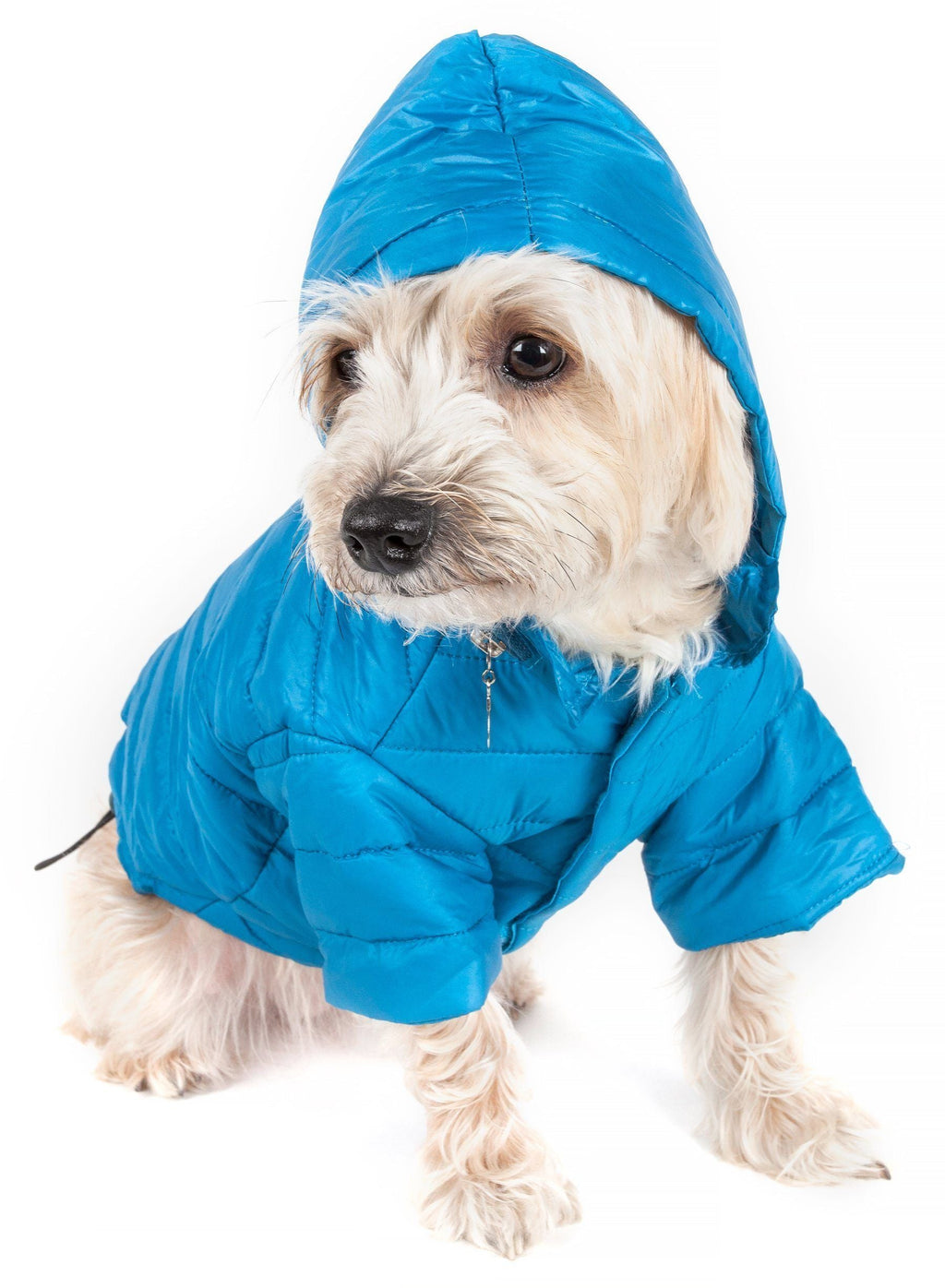 Blue hooded lightweight dog coat with pop-out zipper hood and adjustable neckline