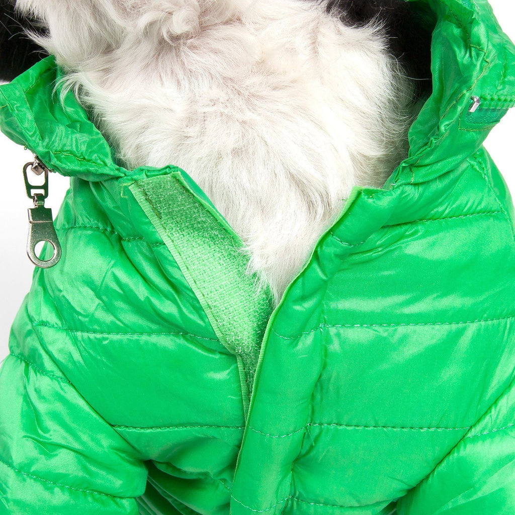 Green puffer dog coat close-up with zipper tape and hood edge