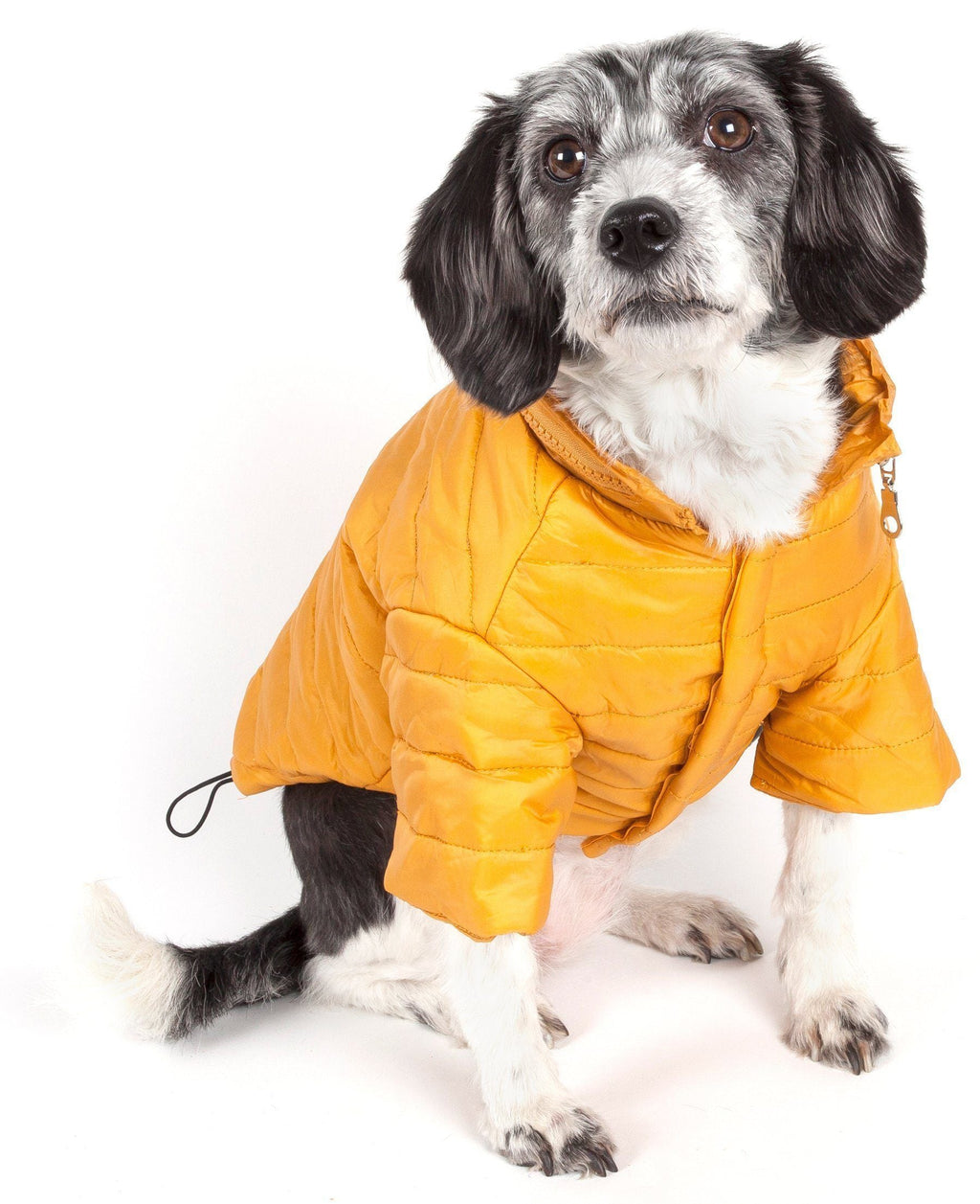 Yellow quilted dog coat with hood and front zipper, padded chest pocket