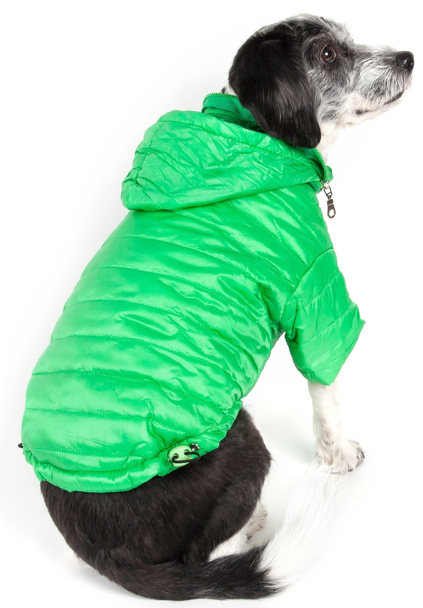 Green quilted dog coat with adjustable hood, front zipper, and padded legs