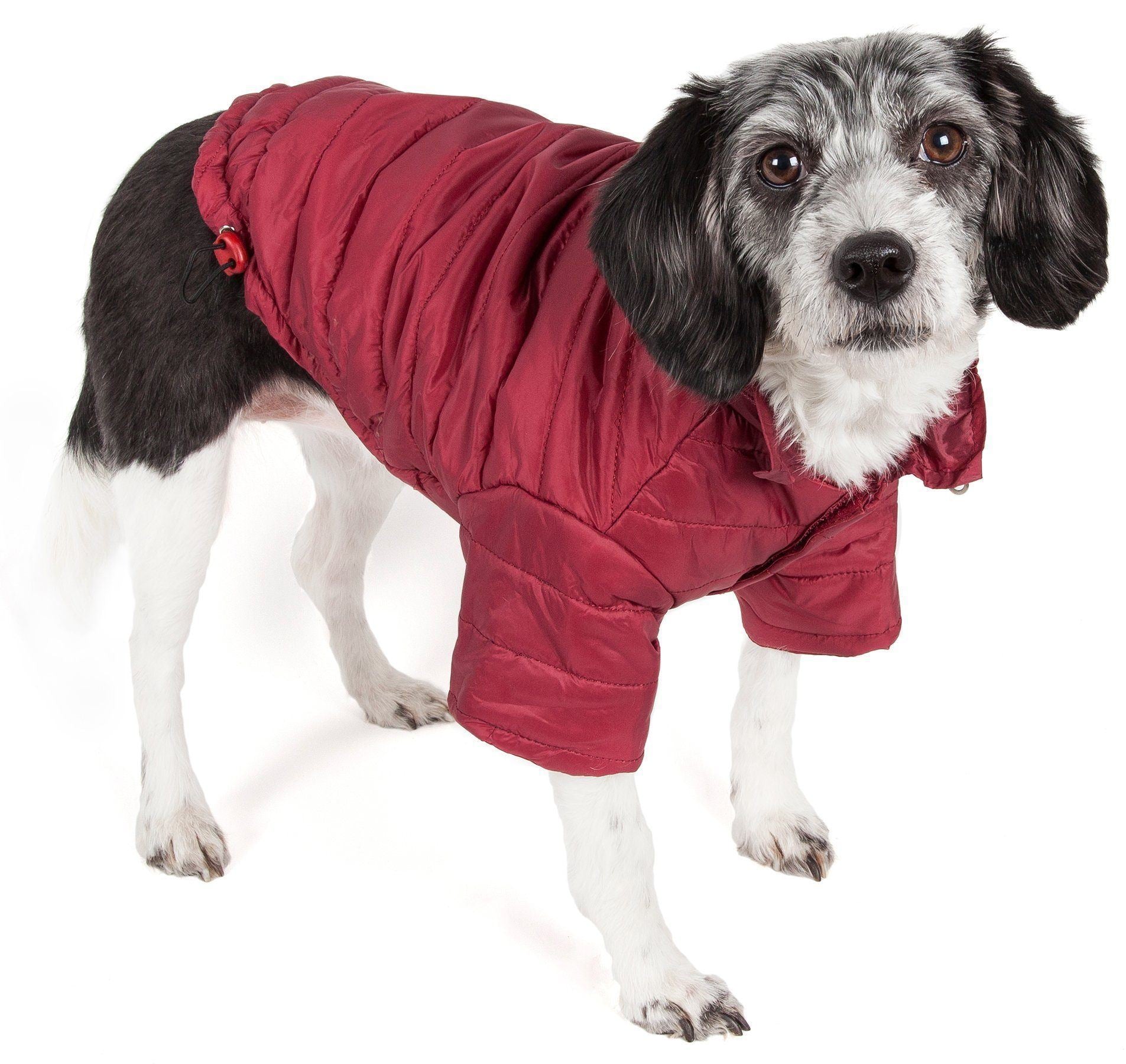 Burgundy red lightweight dog coat with pop-out zipper hood and front zip closure