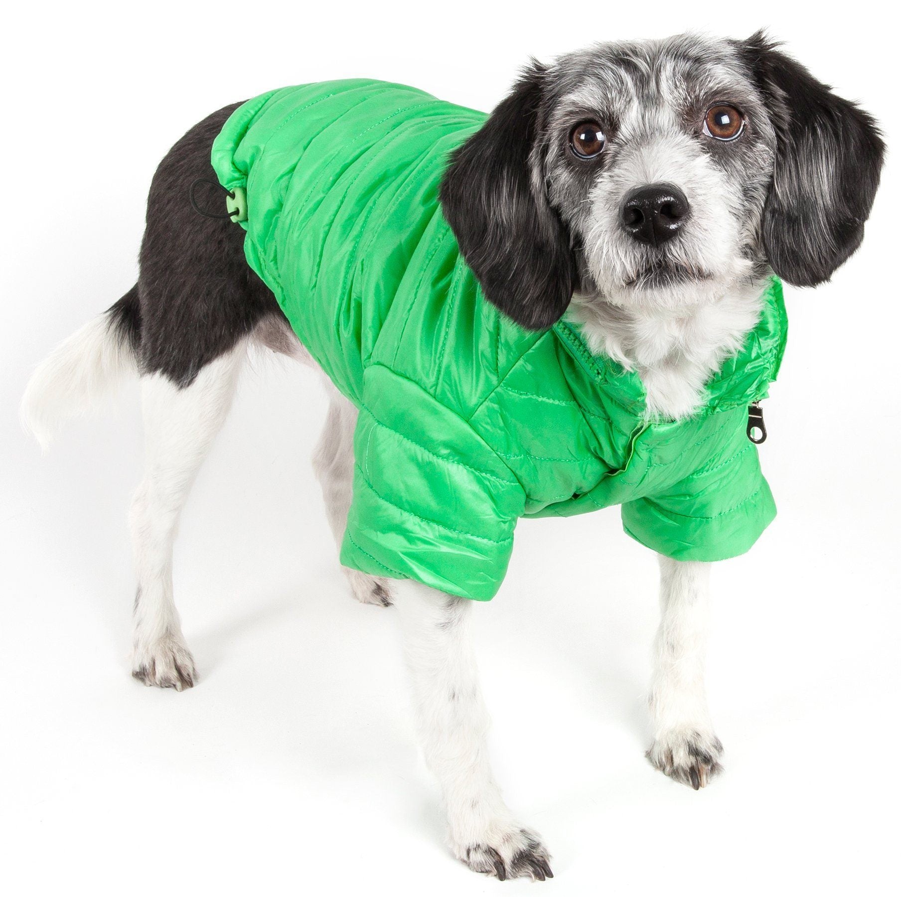 Bright green lightweight dog coat with pop-out zipper hood and zipper front closure