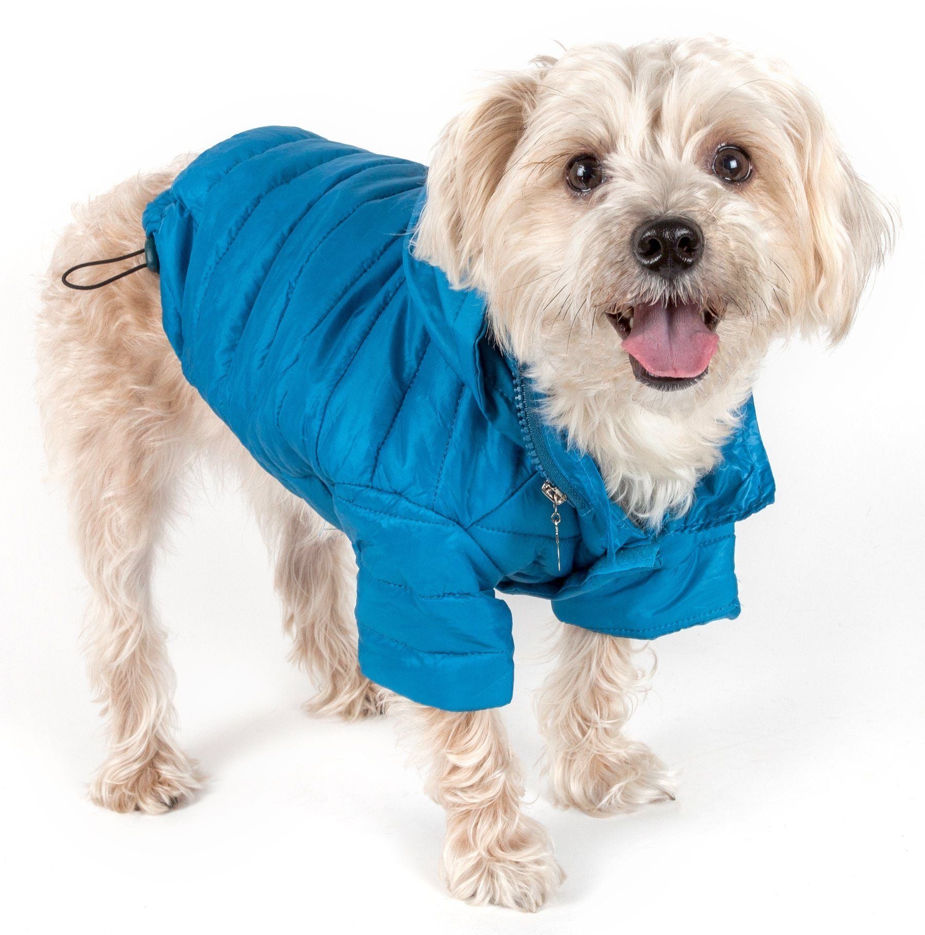 Blue lightweight dog coat with pop-out zipper hood, front zipper and padded legs