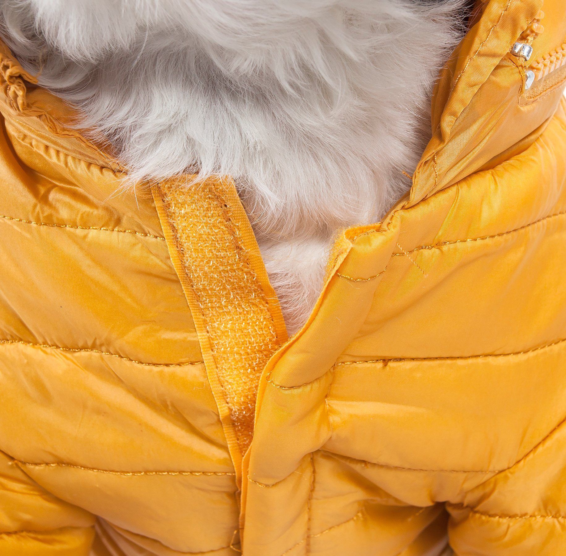 Yellow puffer dog coat close-up of collar opening with zipper pull