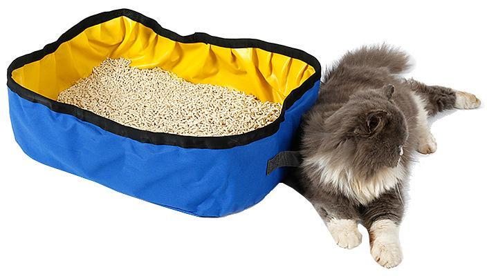Blue folding litterbox with yellow interior and pellet litter, gray cat sitting beside