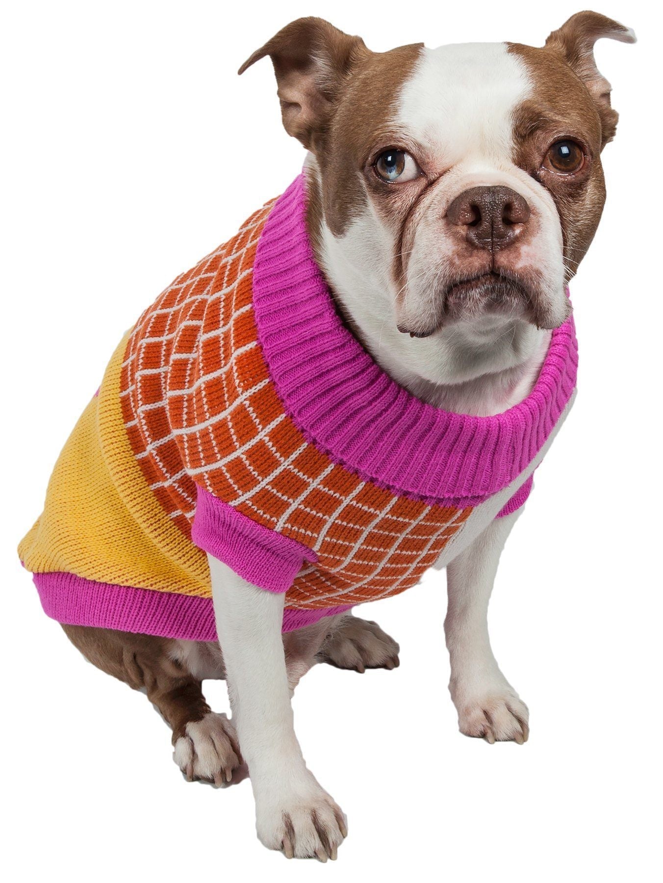Dog model in knitted dog sweater with orange plaid, purple ribbed neckline, yellow block color