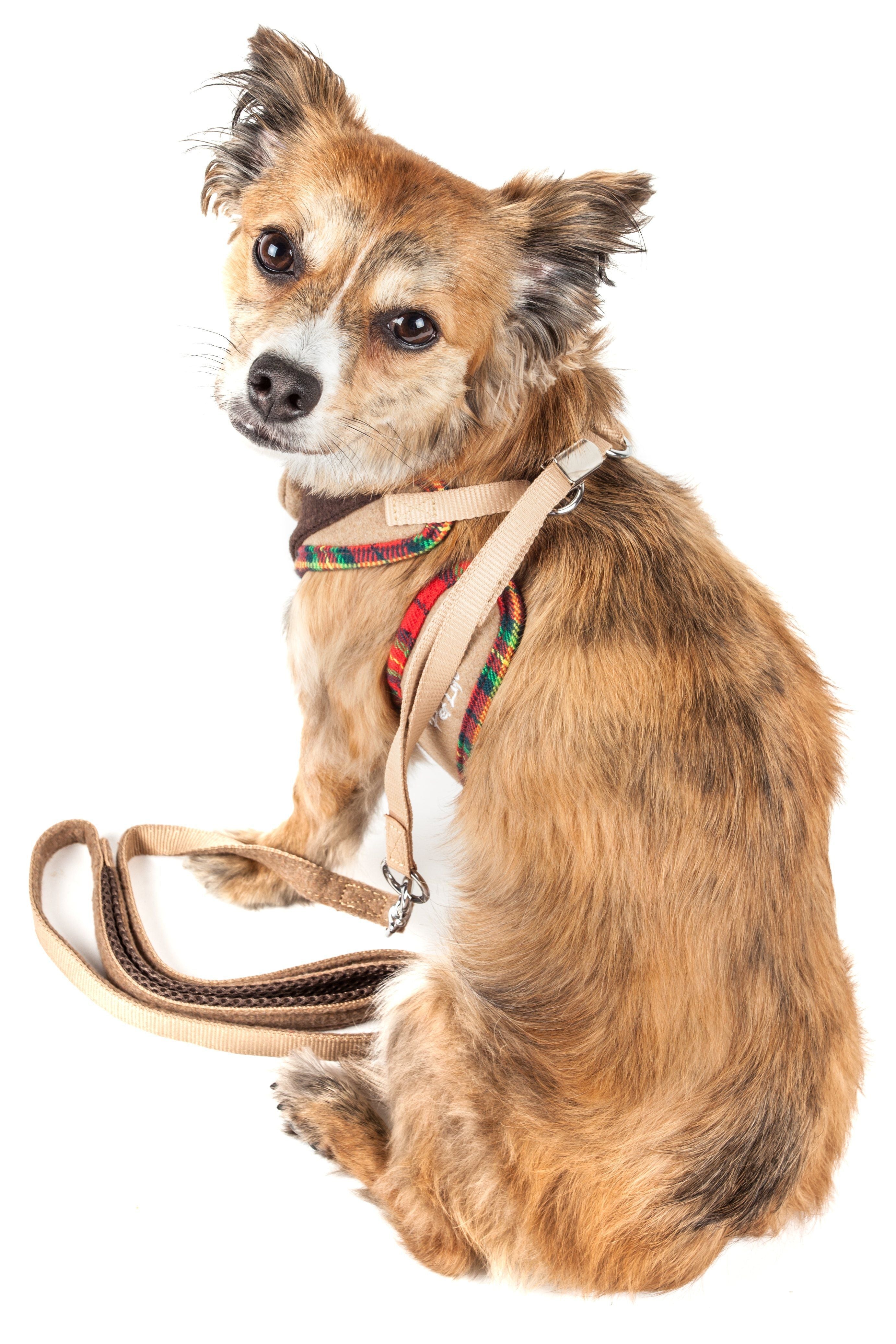 Adjustable dog harness with tan webbing and plaid bow, paired with tan leash
