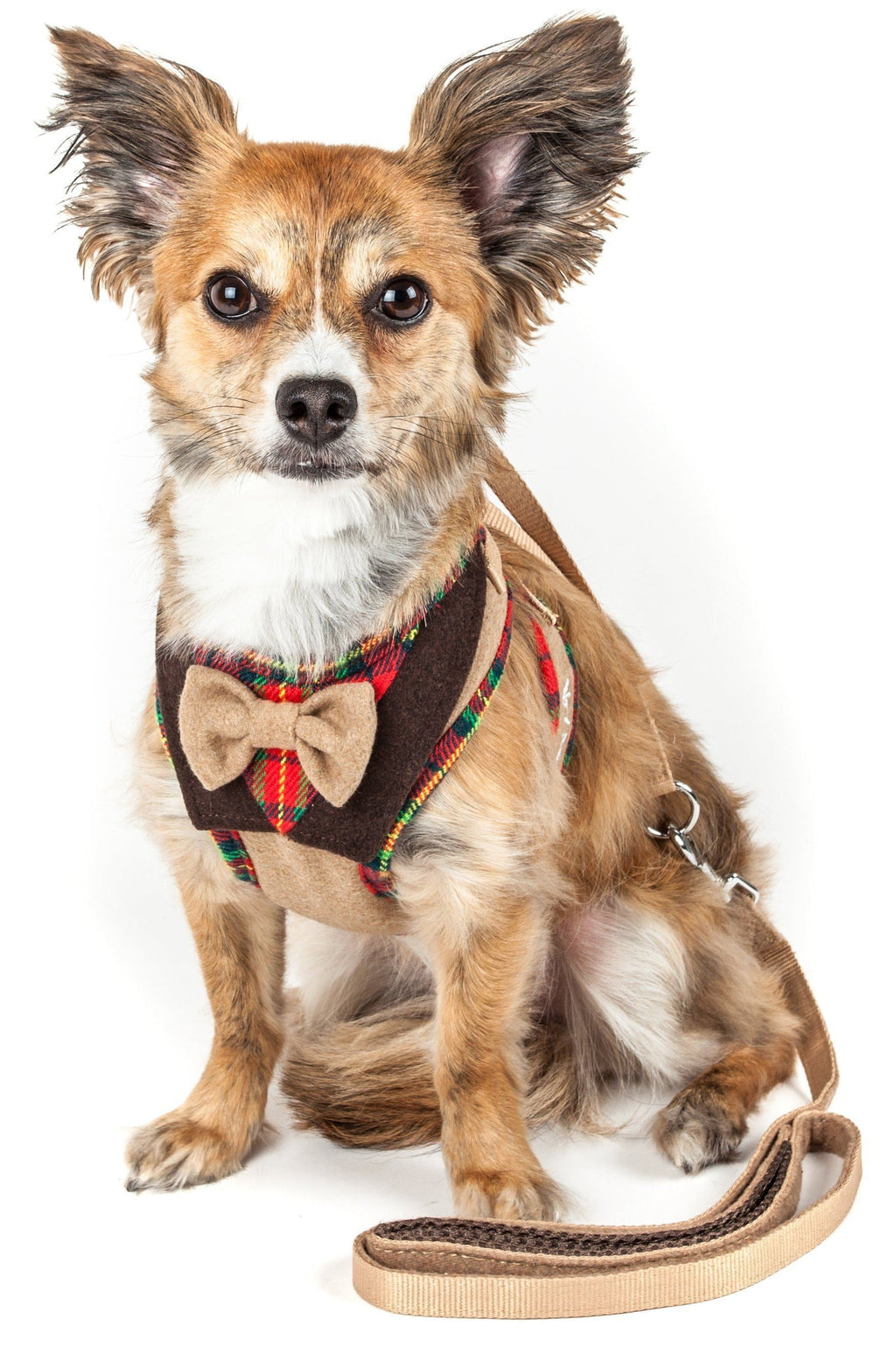 2-in-1 dog harness with bow tie, dark plaid trim, and attached tan leash strap