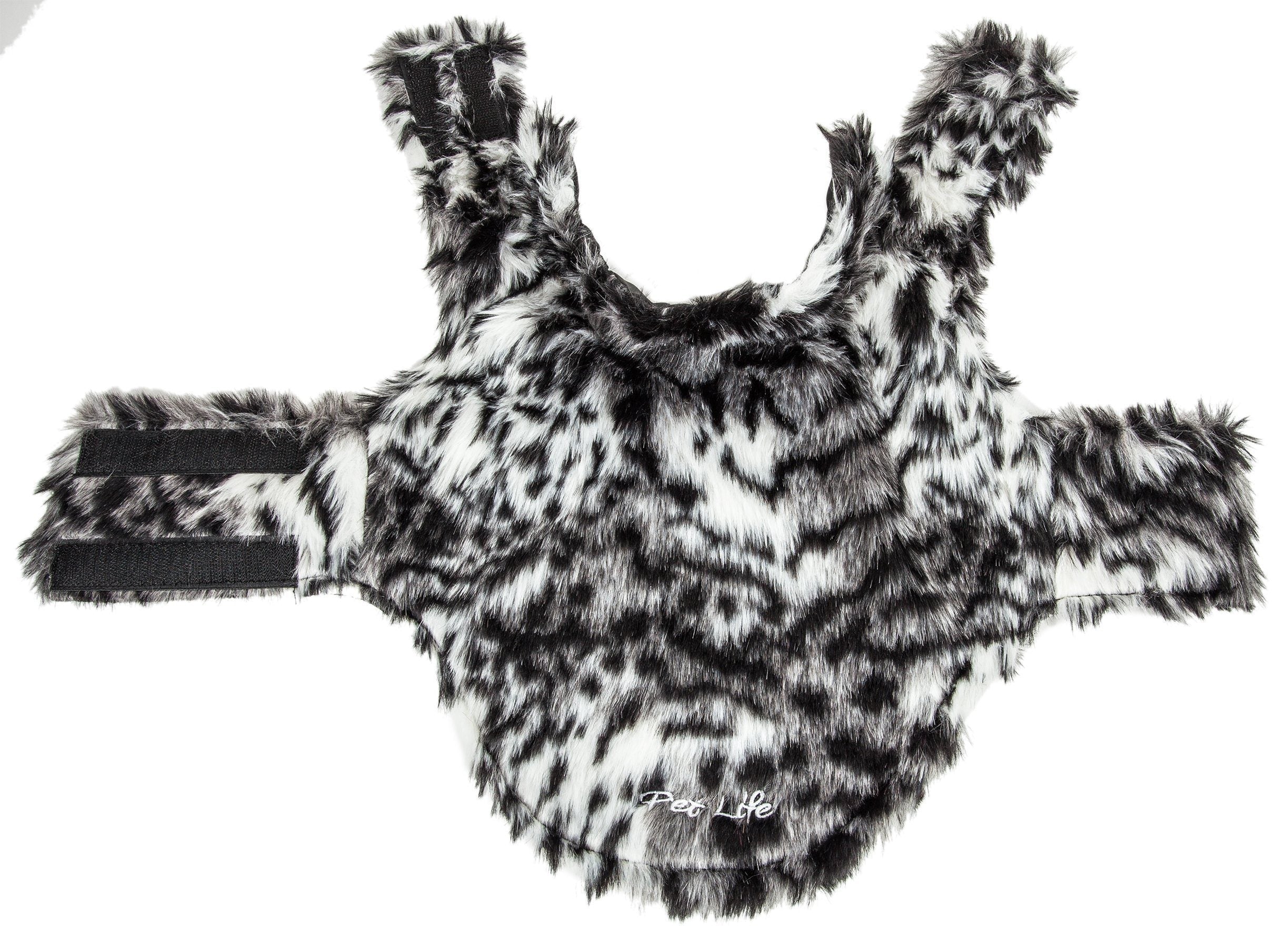 Dog coat front view: gray tiger print mink-fur with black strap-style edging at cuffs.