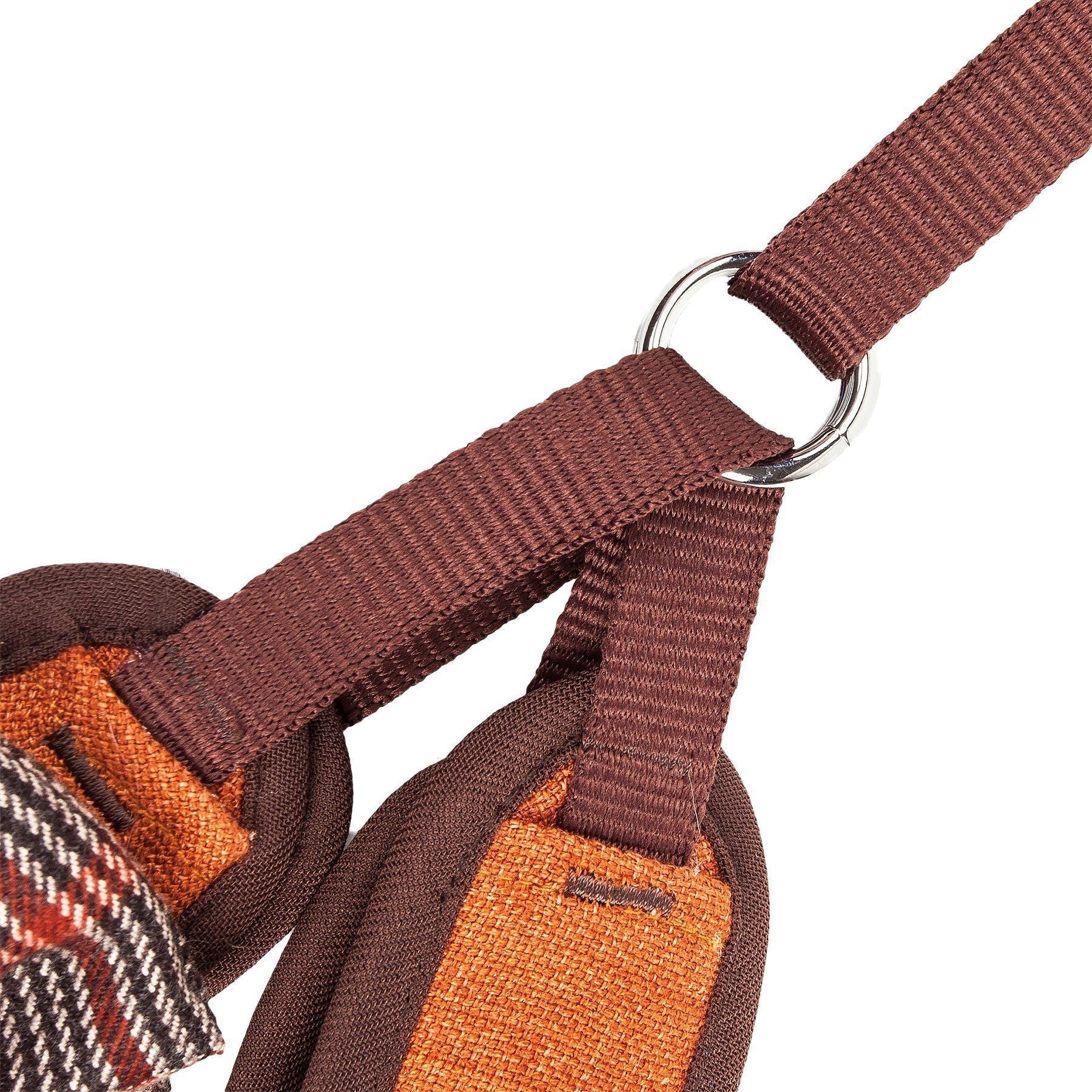 Dog leash close-up with brown webbing and metal ring attachment near the harness clip area.