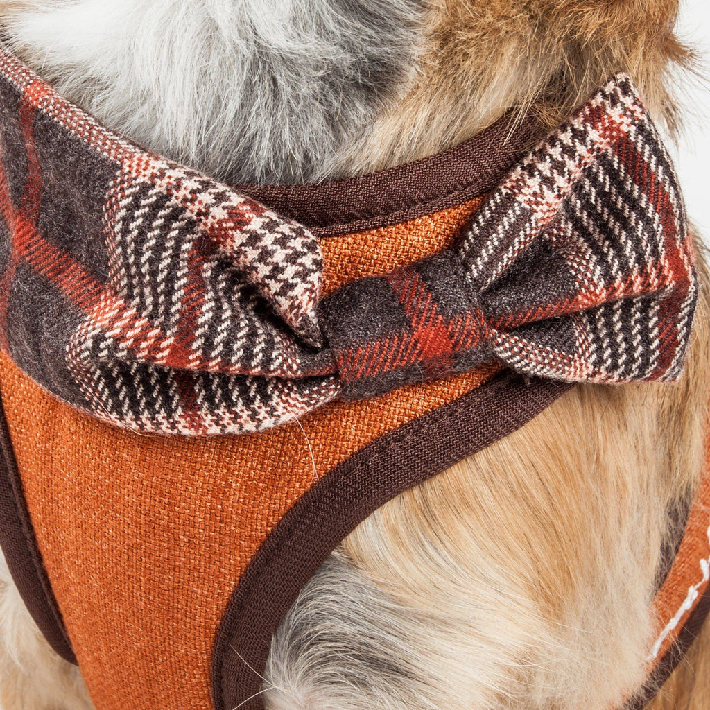 Dog harness close-up: orange-brown panel with brown mesh trim and plaid bow at chest.