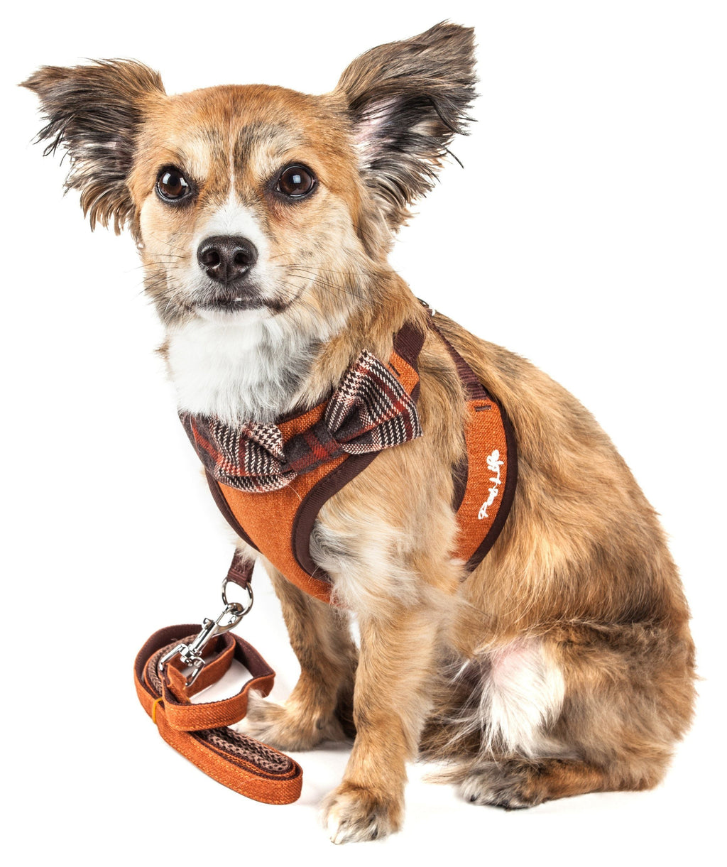 Dog harness and leash set on small dog, brown harness with orange plaid bow and leash.