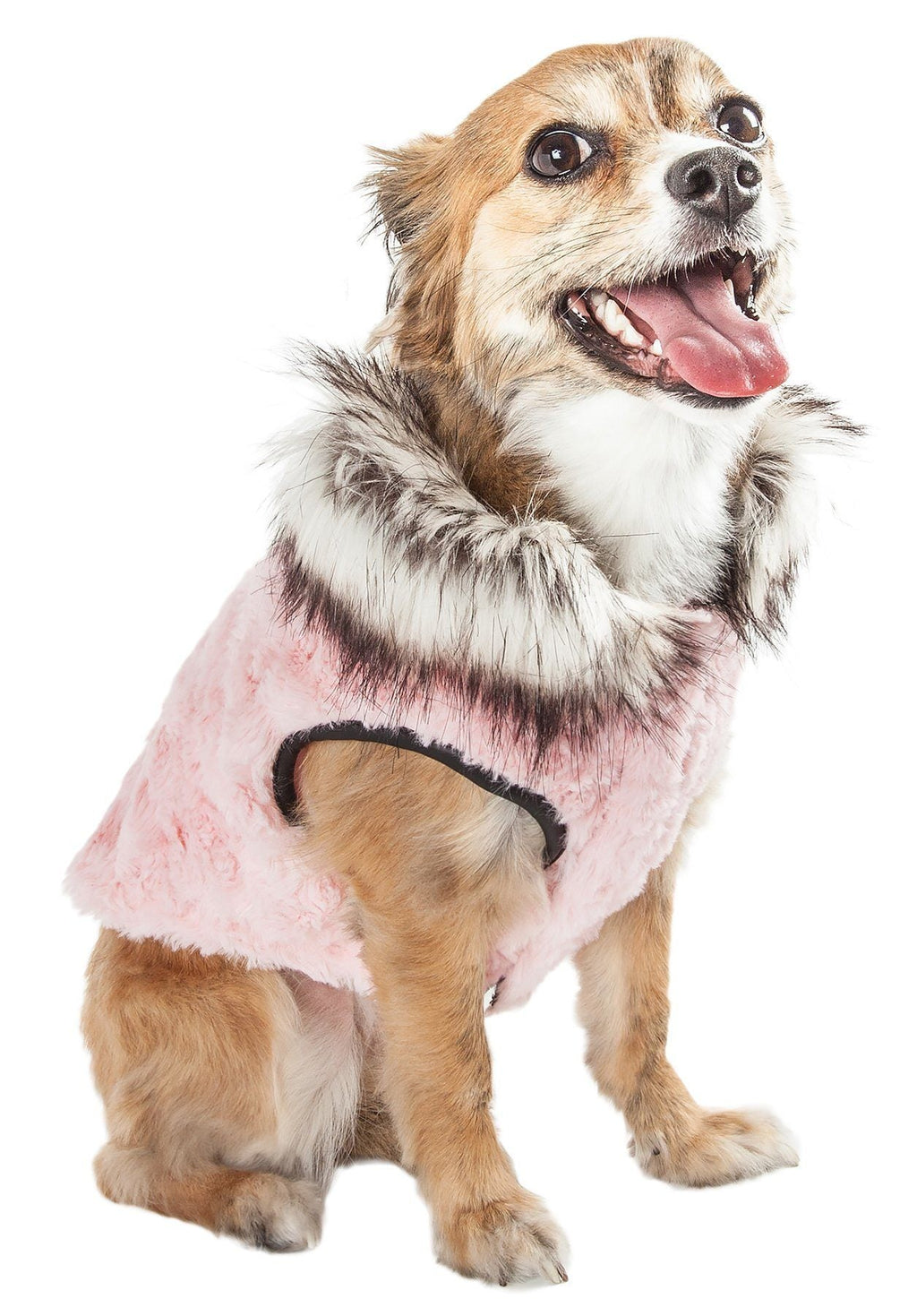 Pink plush dog coat with thick fur collar and black-edged leg holes