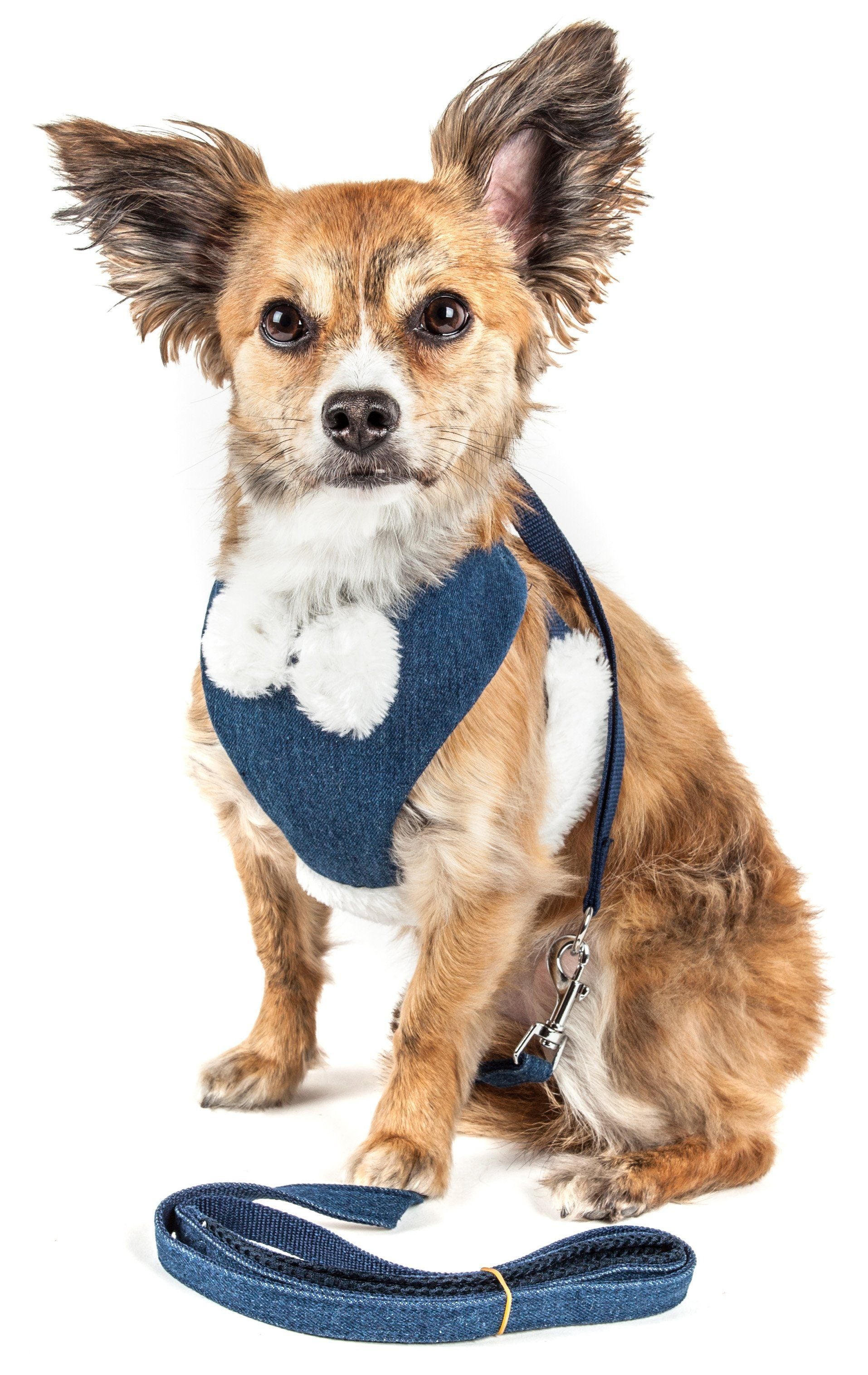 Adjustable denim-blue dog harness with white faux-fur trim and leash, front view