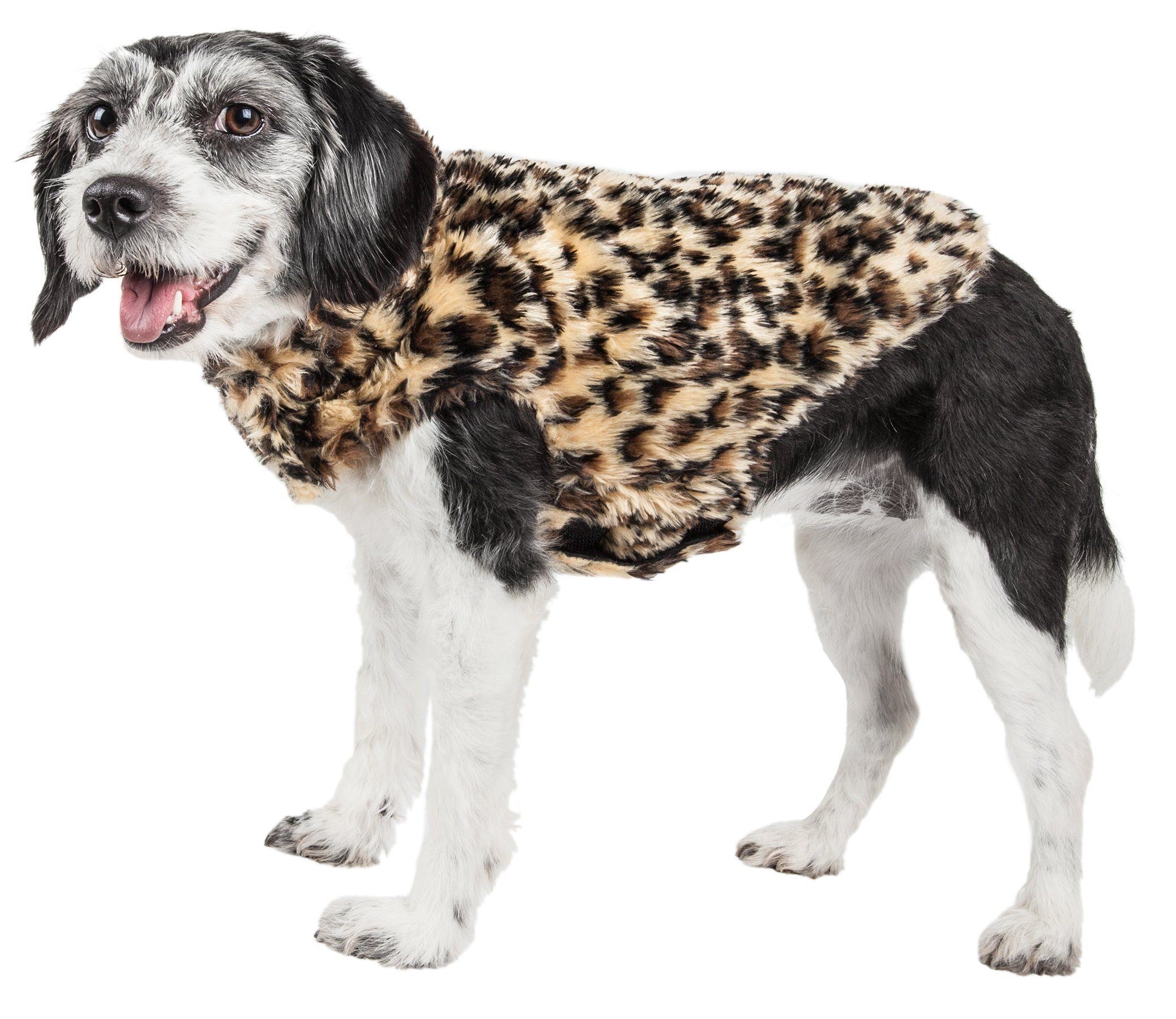 Designer dog coat with cheetah-spotted faux mink fur, draped over the torso