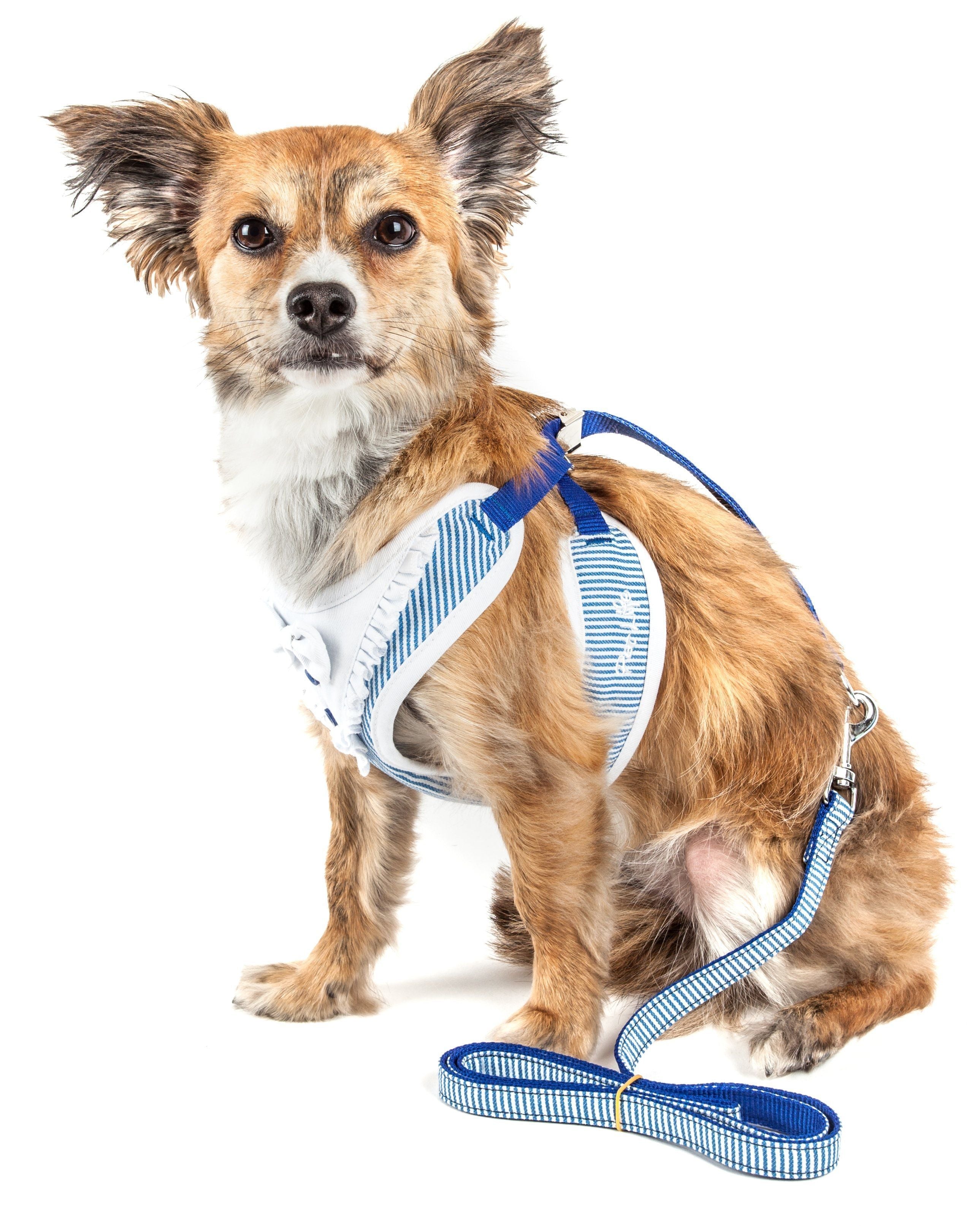Blue striped 2-in-1 adjustable dog harness with leash, dog seated and wearing harness
