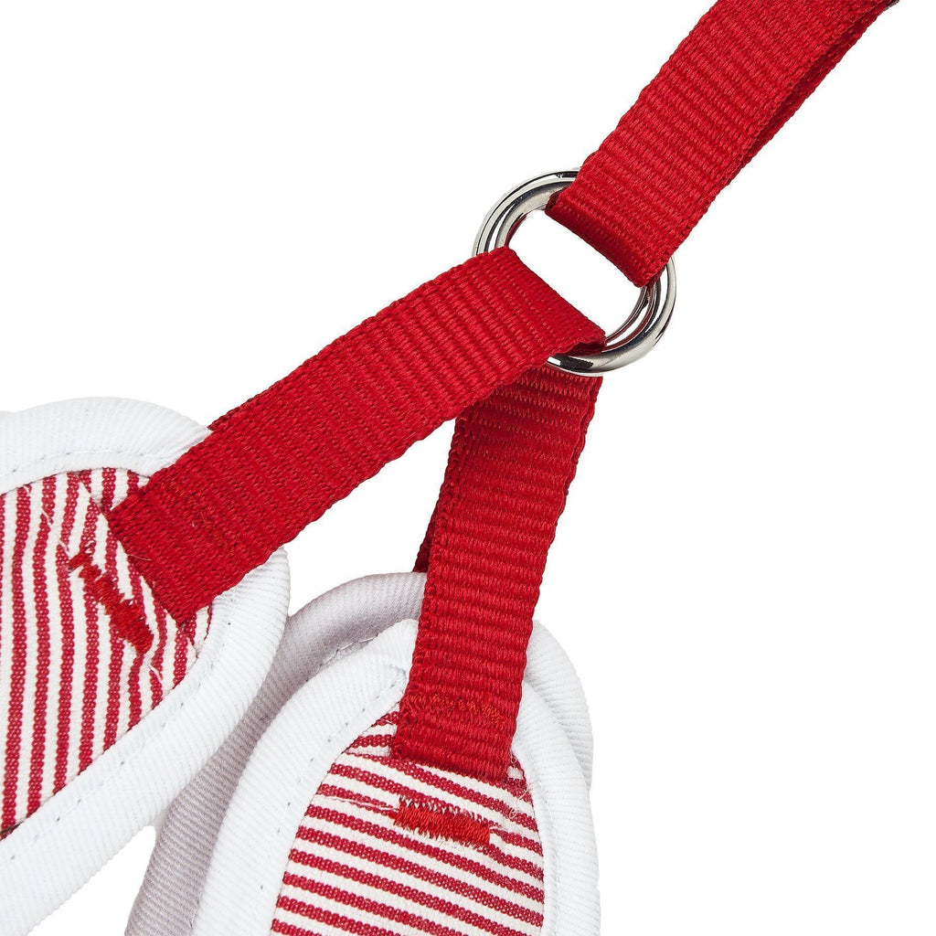 Close-up of red dog harness strap with metal rings and striped fabric trim