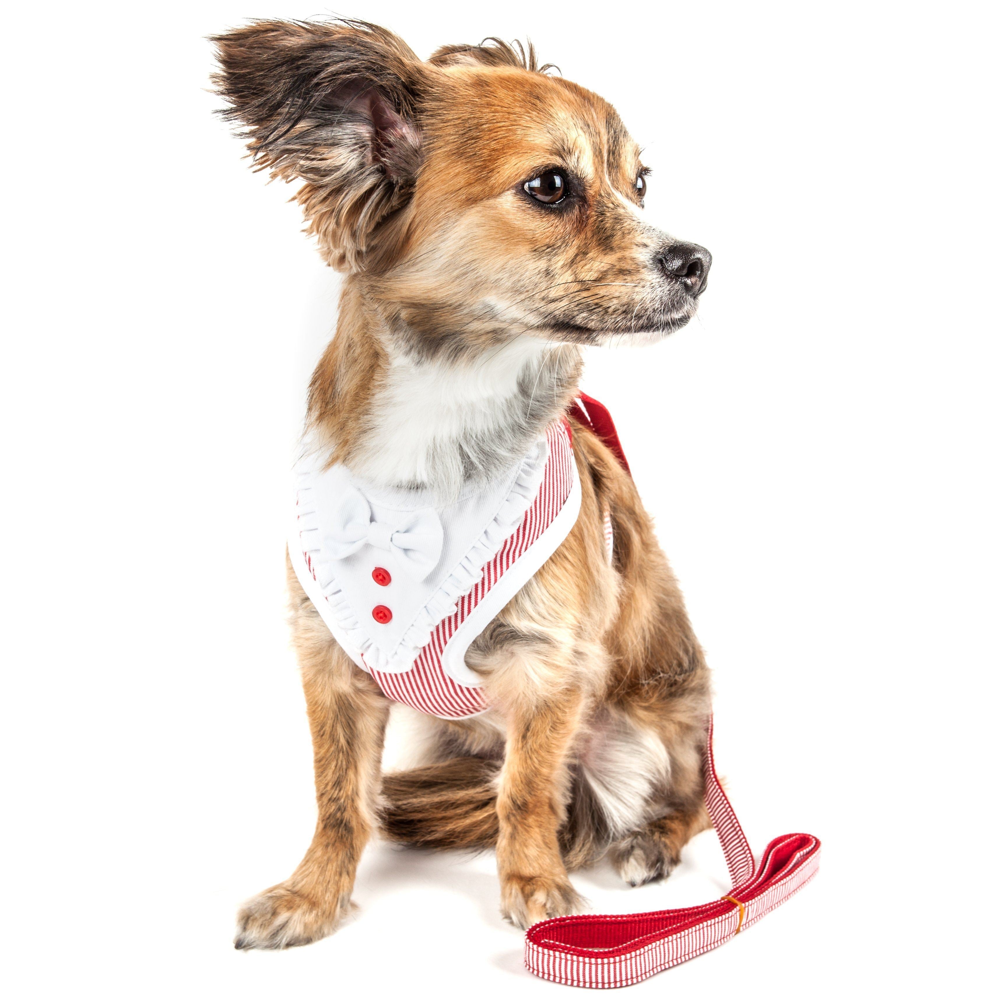 Red striped 2-in-1 adjustable dog harness with attached leash, worn on small dog