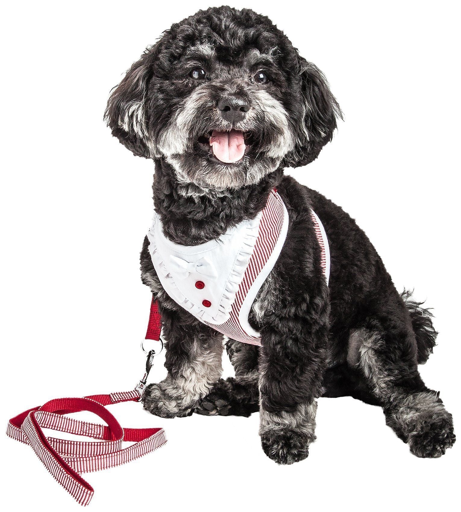 Red striped 2-in-1 adjustable dog harness with leash, worn on black-and-white dog