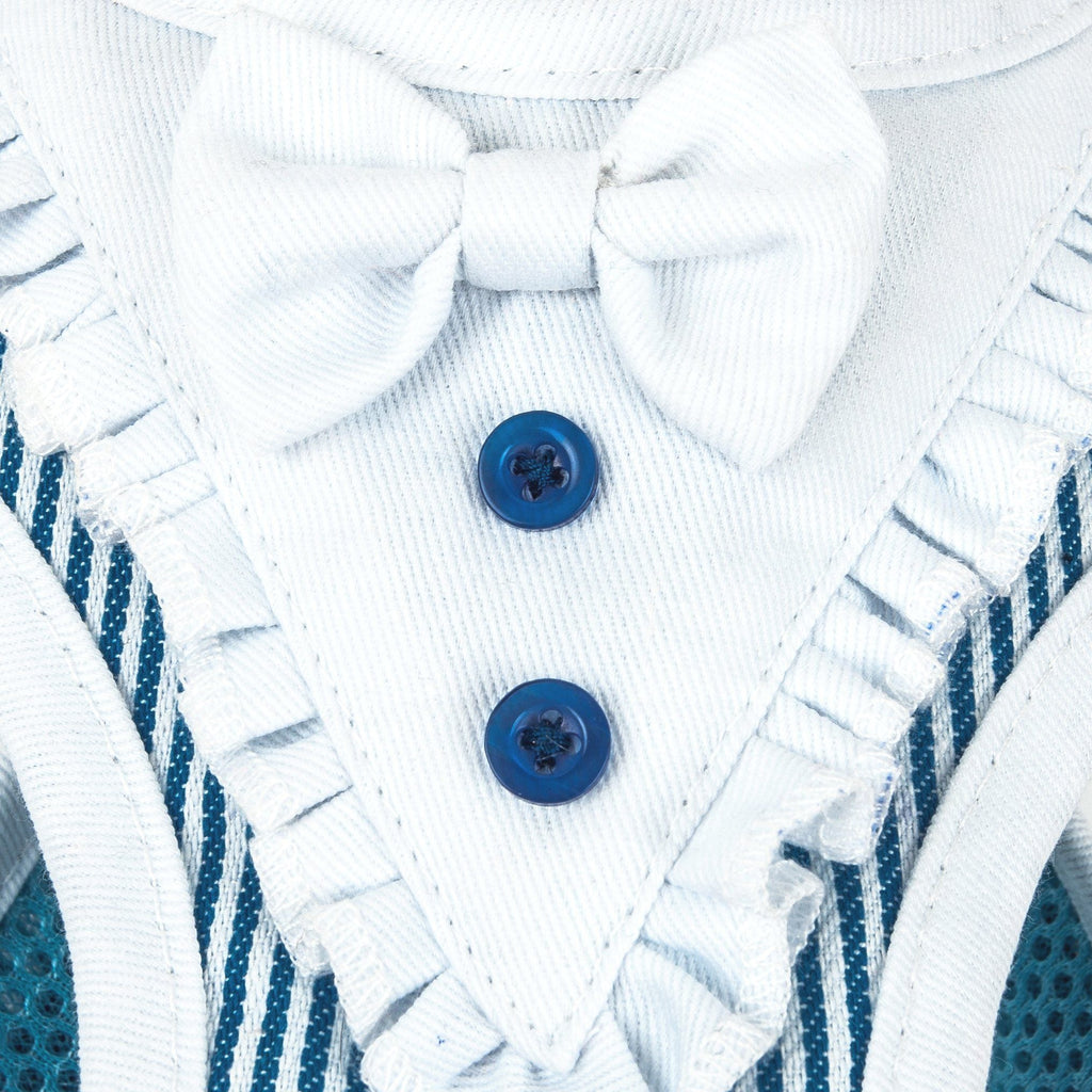 Blue dog harness close-up of bow and two blue buttons