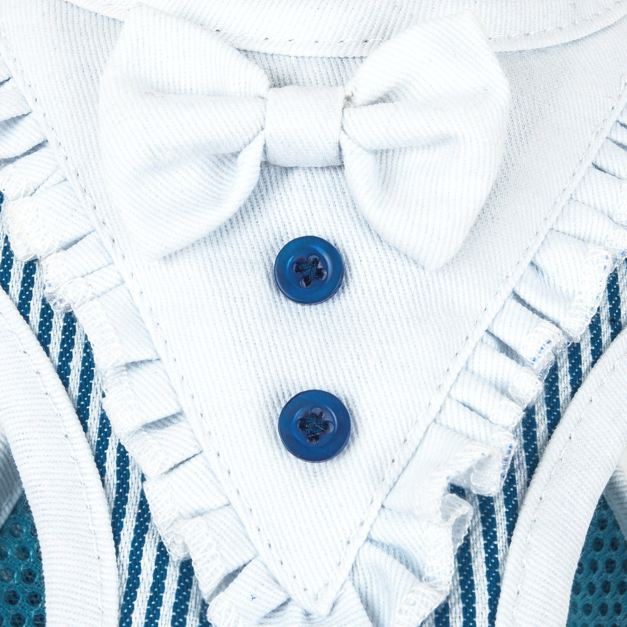 Blue dog harness close-up of bow and two blue buttons