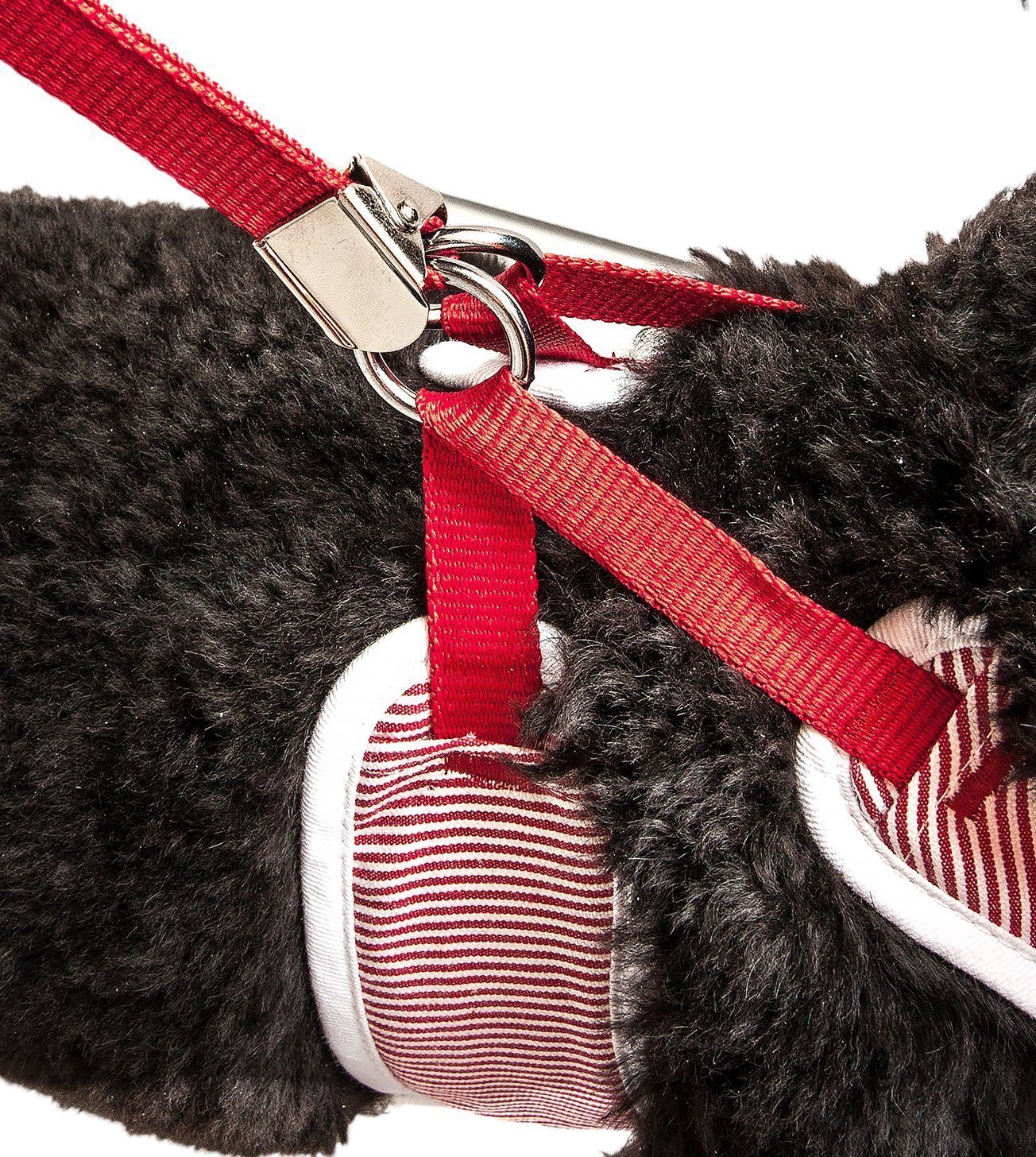 Red striped dog harness and leash attachment clips on dog fur