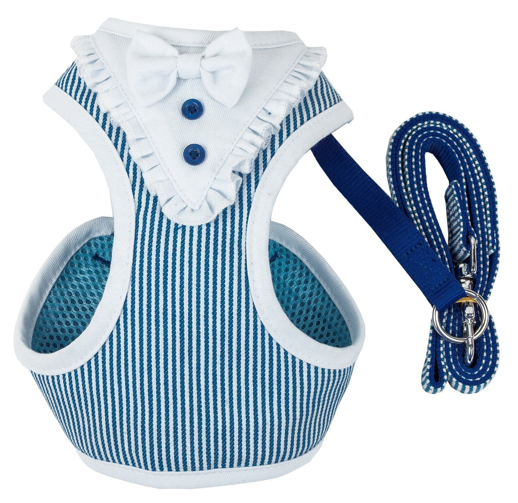 Light blue striped dog harness with bow detail and matching leash, set only