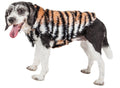 Tiger-striped mink fur dog jacket on black-and-white dog, standing side view