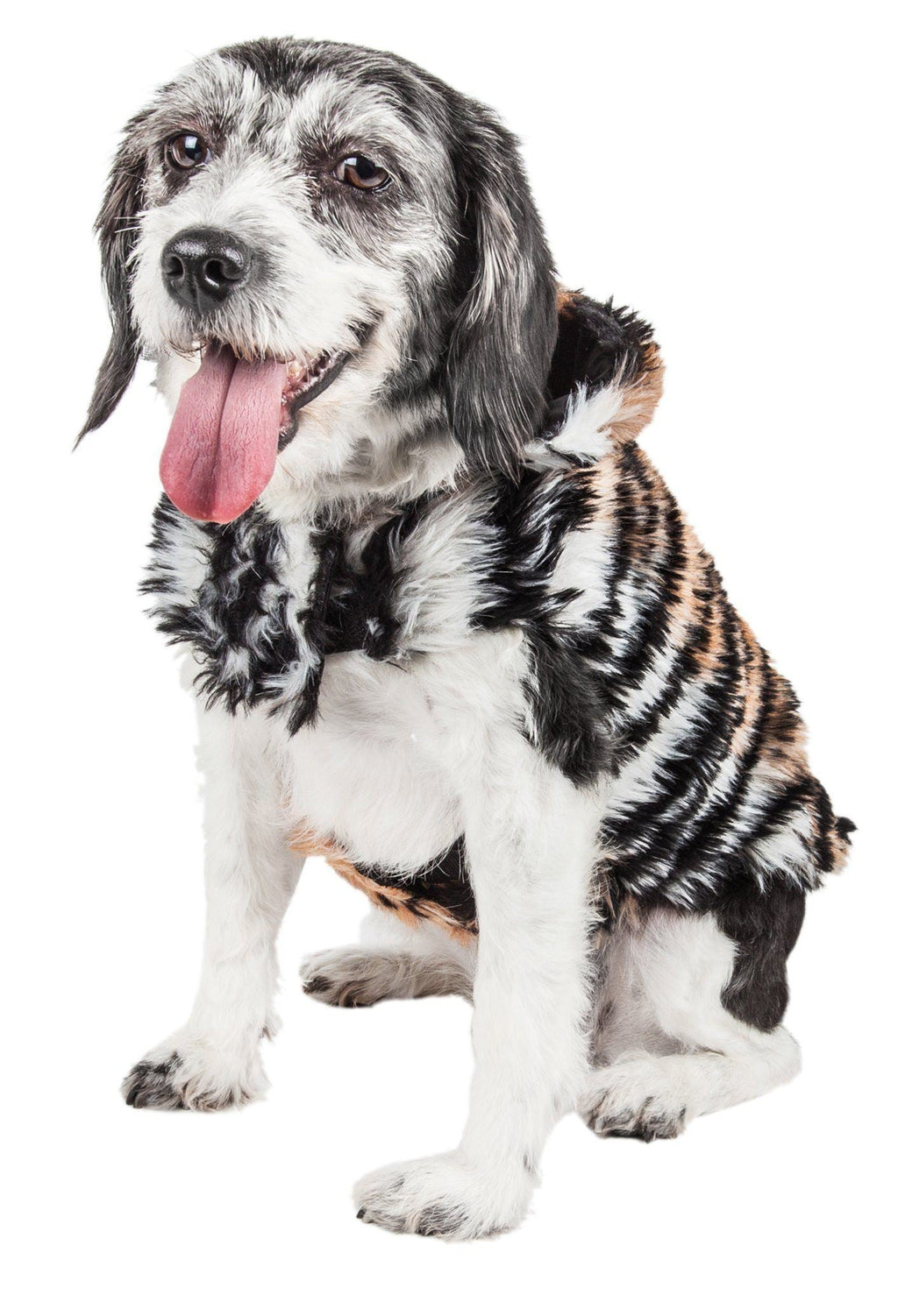 Tiger-pattern mink fur dog jacket on dog, seated front view