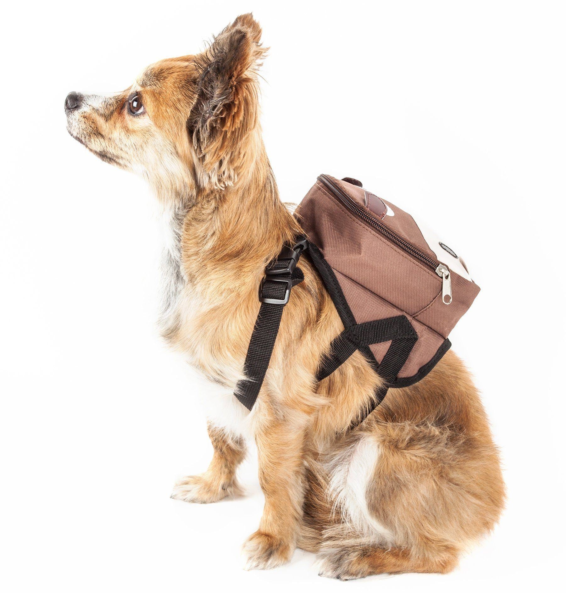 Dog wearing brown cow-print fashion harness backpack with side zipper pocket