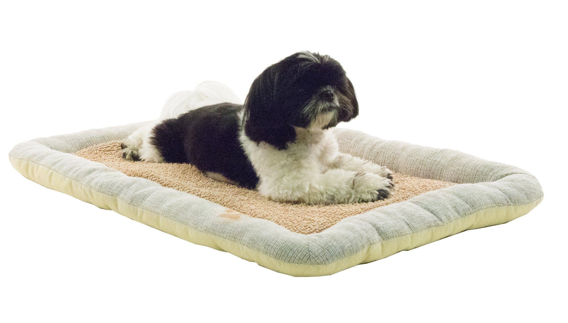 Pet dog bed lounge with tan cushion and light gray border, dog resting inside