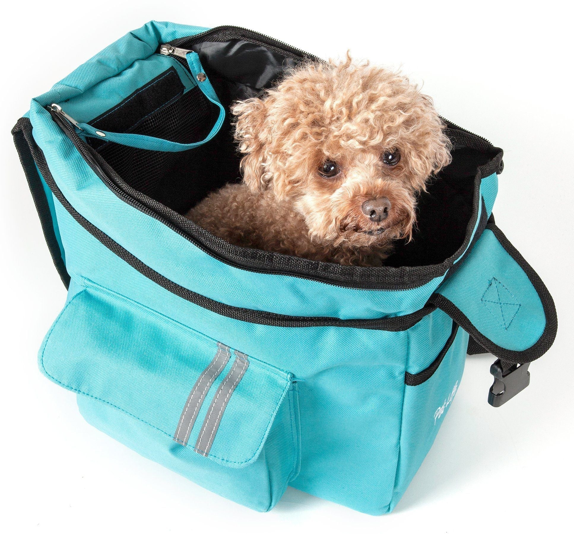 Light blue over-the-shoulder dog carrier with zipper top pocket; dog sitting inside