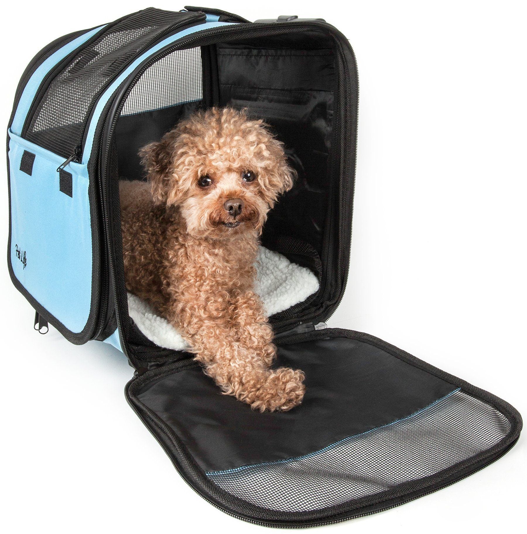 Light blue wheeled airline dog carrier with mesh window and fold-flat base mat