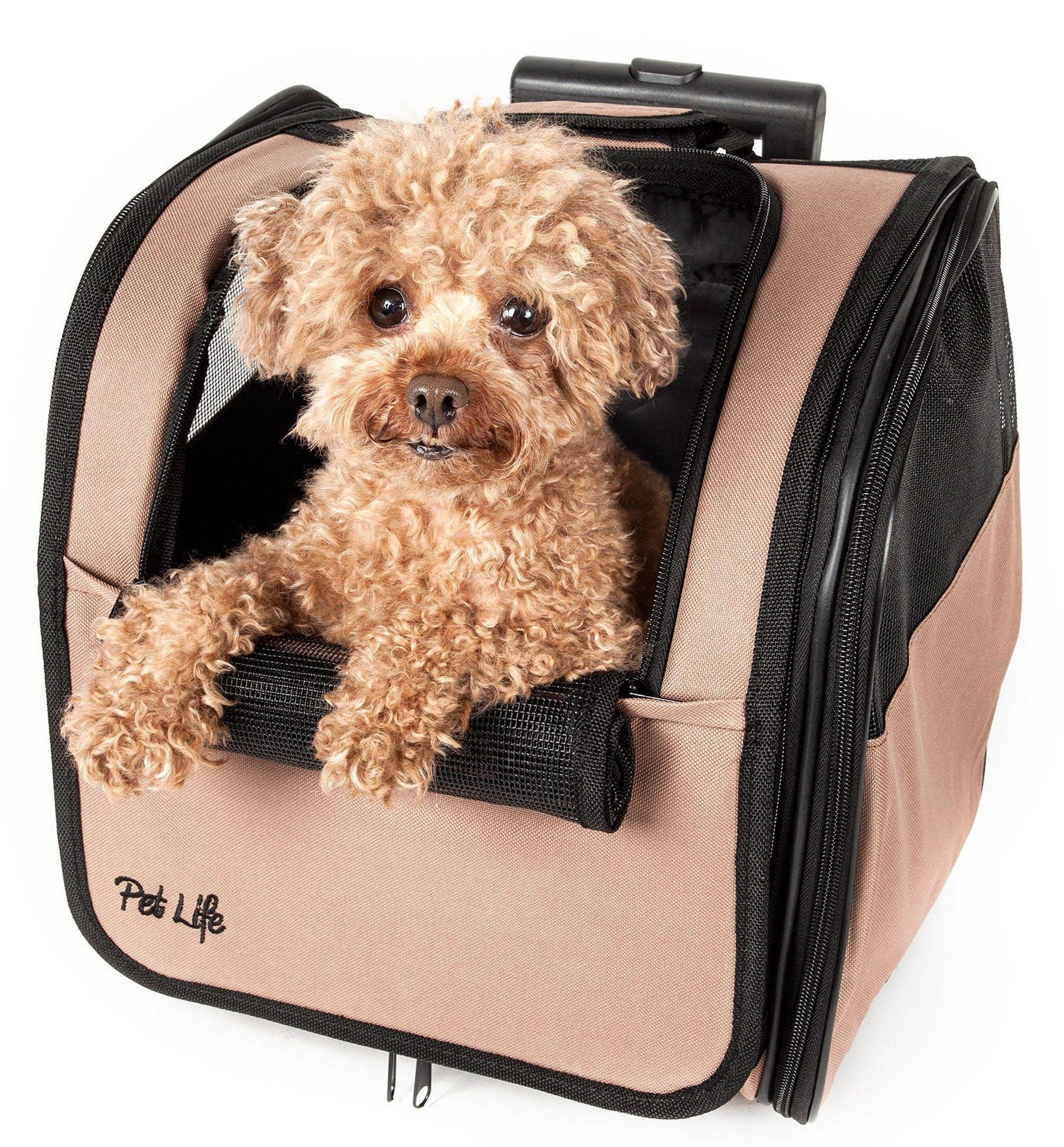 Khaki collapsible wheeled pet carrier with mesh front window and zip-open side