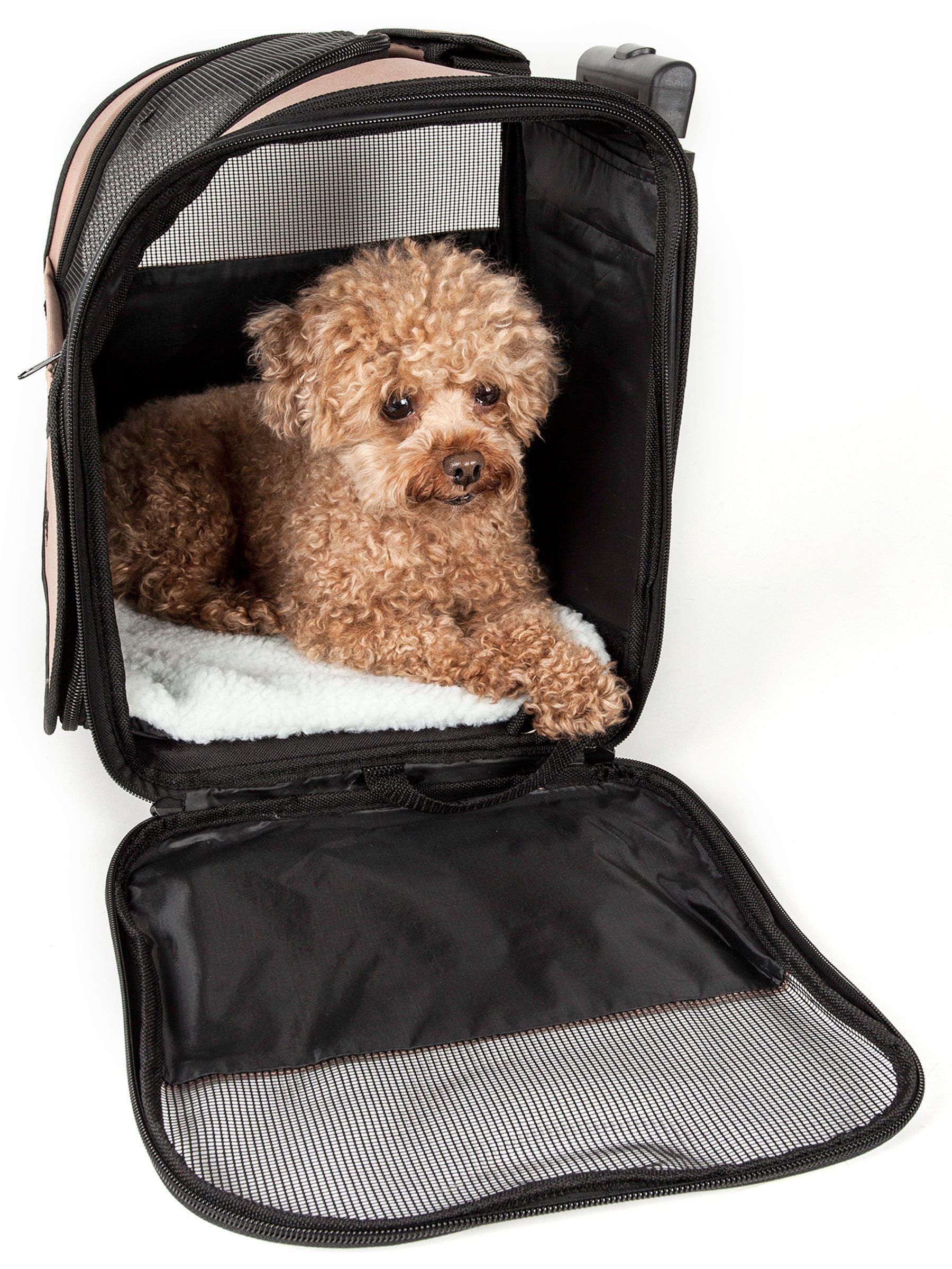 Khaki wheeled pet carrier with open door and mesh side panel, dog resting inside