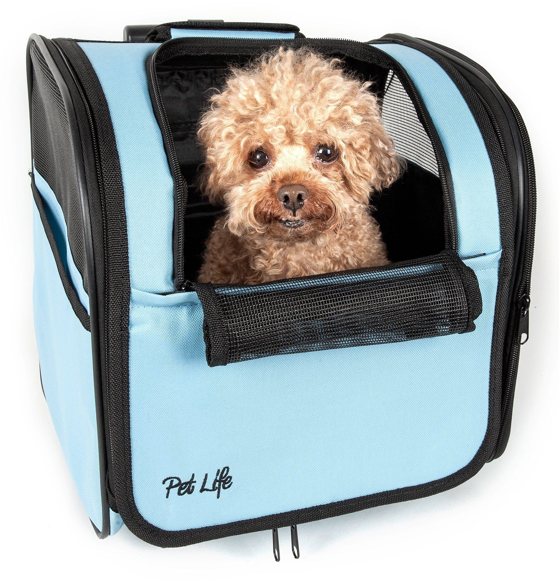 Light blue pet carrier with mesh front panel and cushioned interior, dog looking out