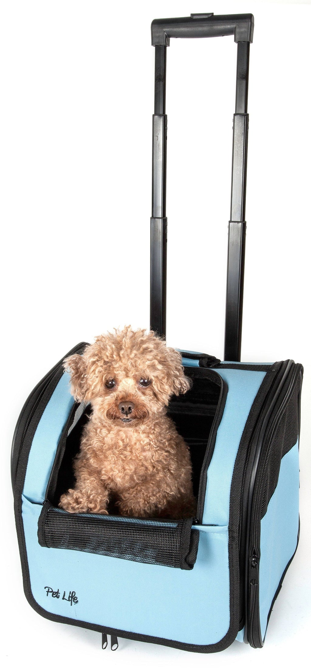 Light blue wheeled airline pet carrier with open front and mesh window