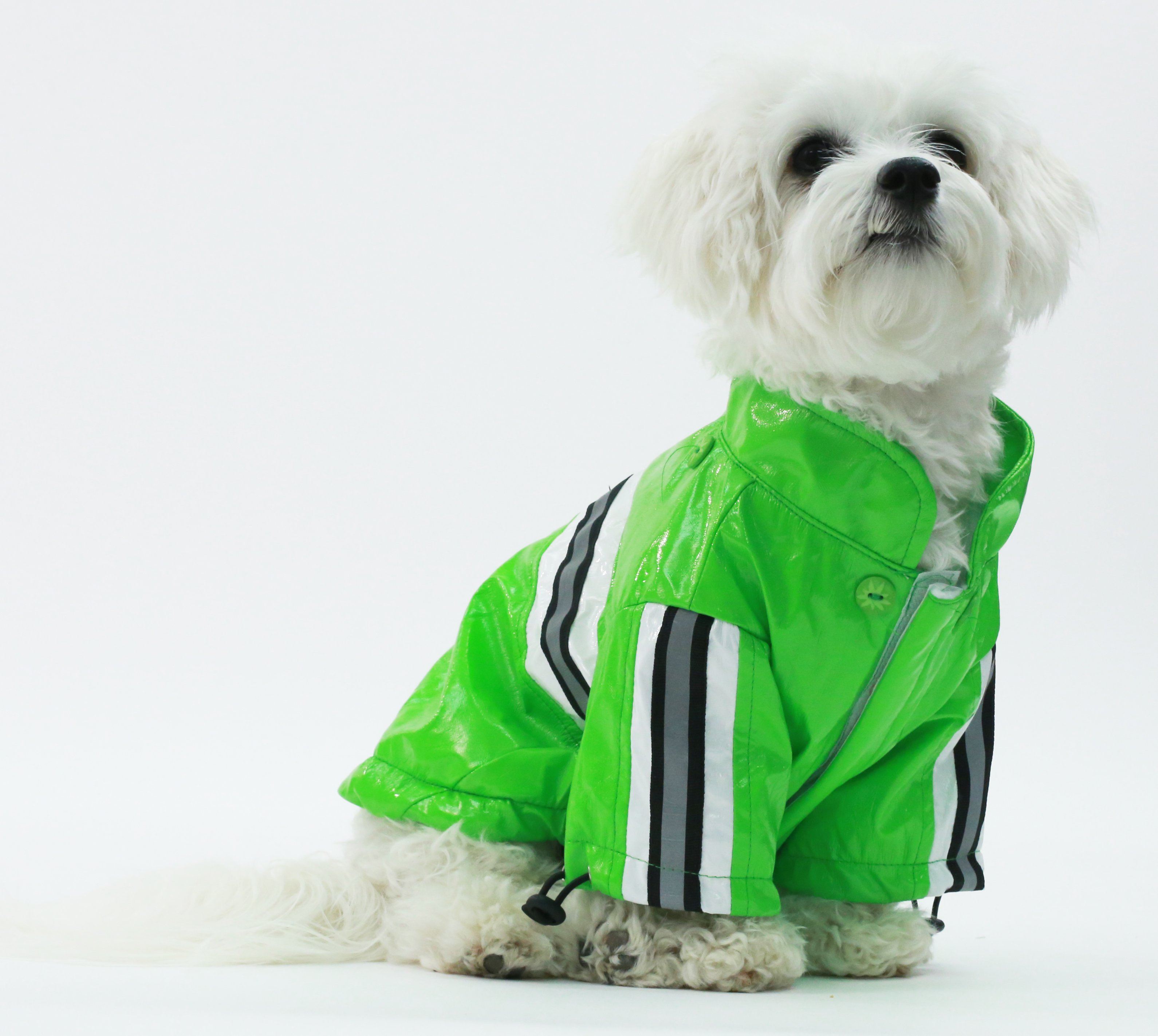 Green reflective waterproof dog raincoat with hood and vertical black-and-white stripe