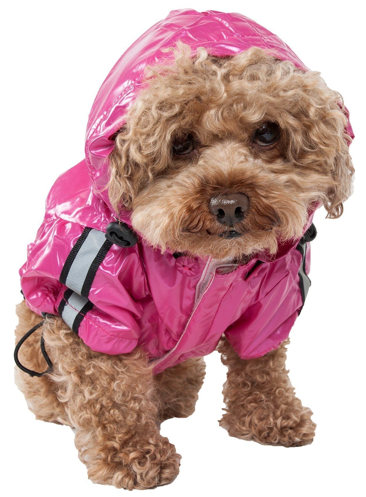 Hot pink dog raincoat with removable hood and adjustable belly straps