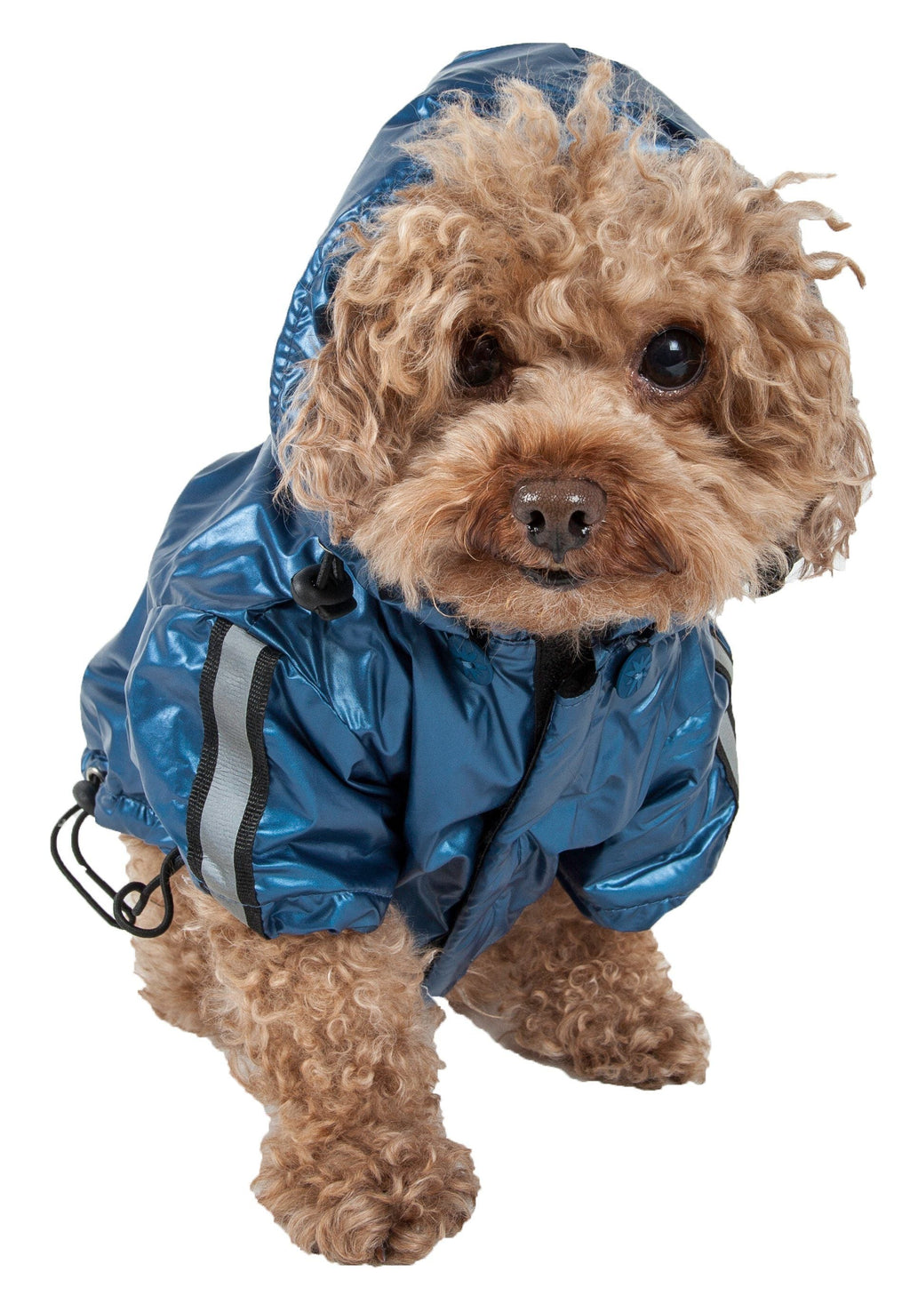 Blue reflective dog raincoat with hood, adjustable fit and black cord loops