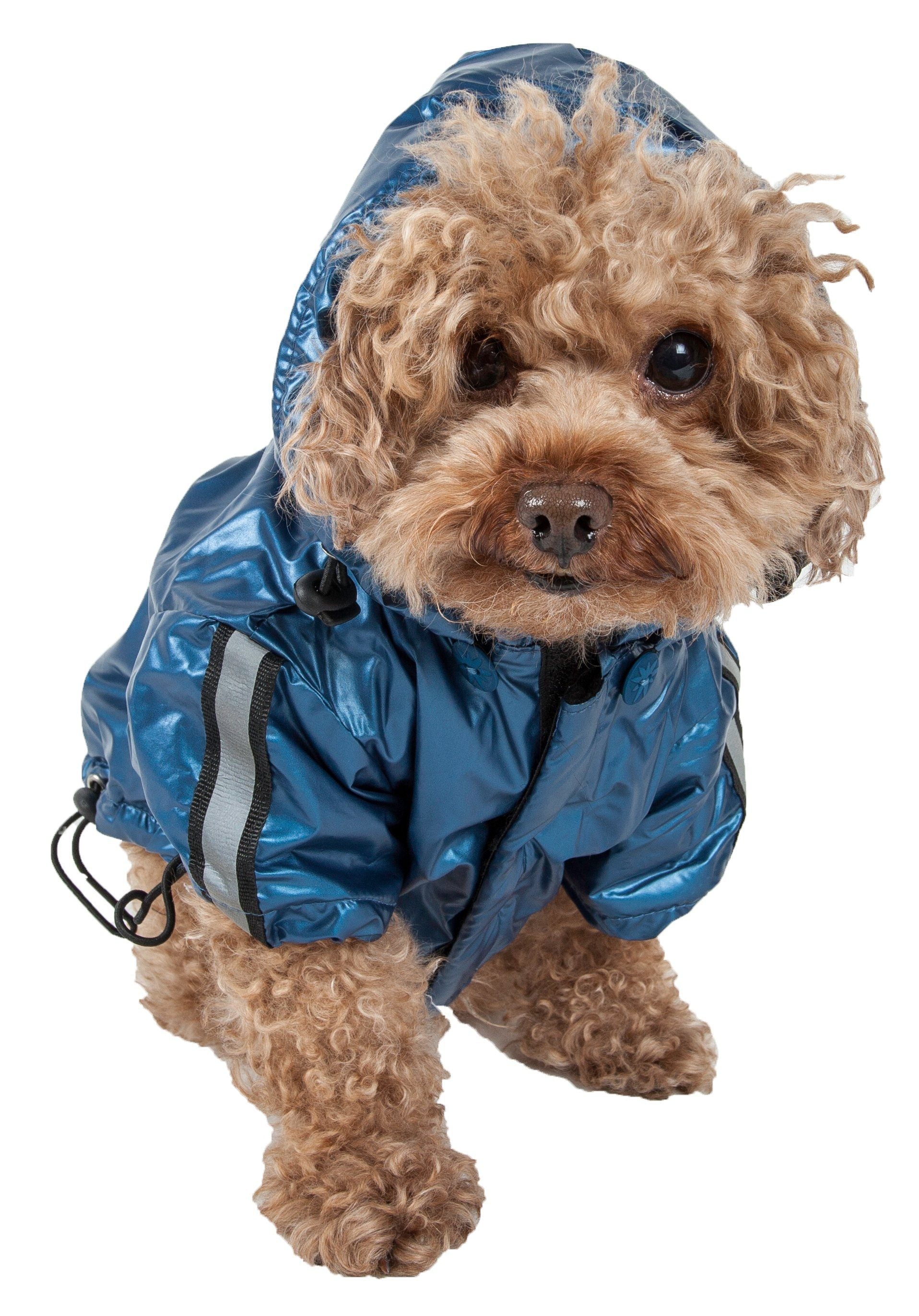 Blue reflective dog raincoat with hood, adjustable fit and black cord loops