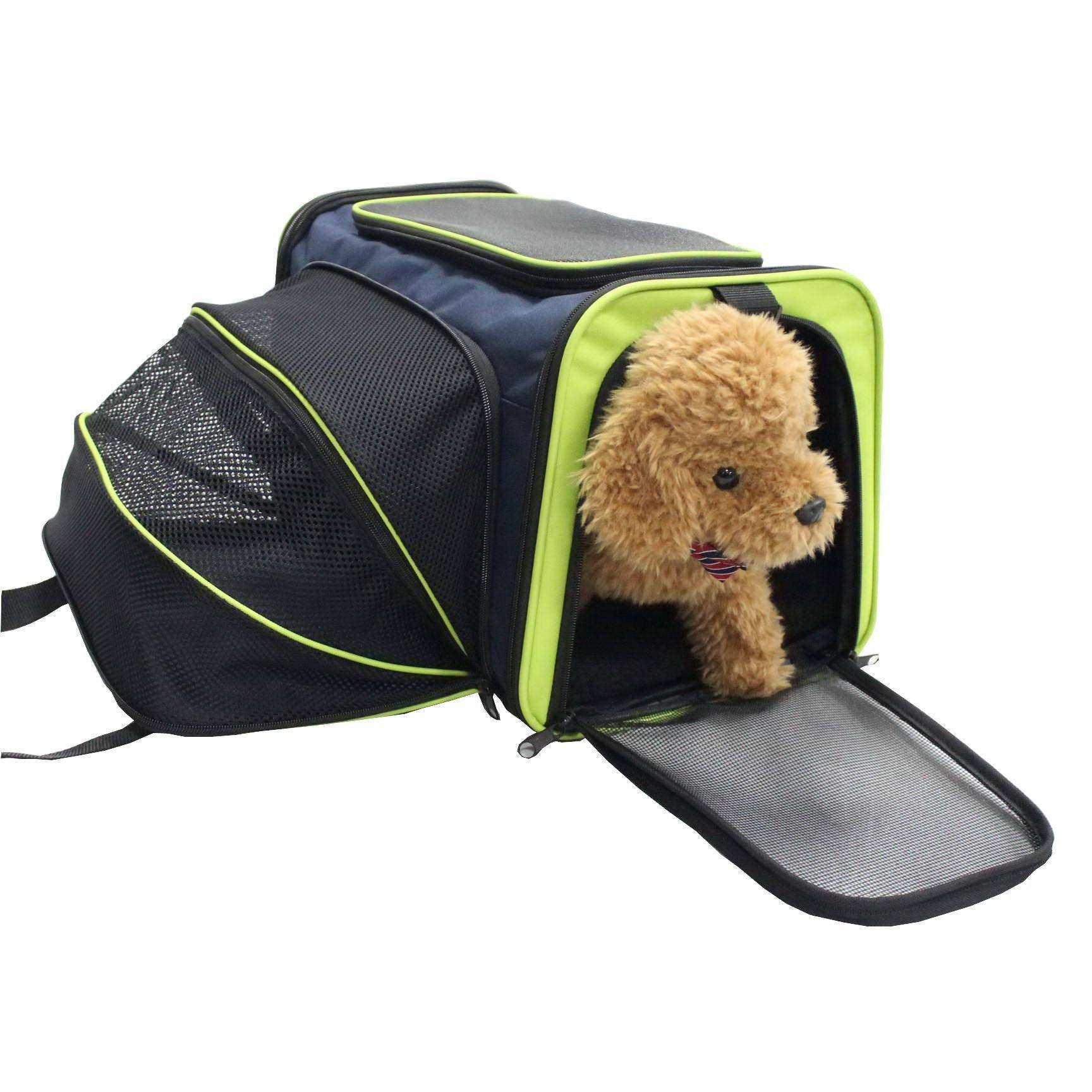 Blue dog travel carrier with lime trim, front mesh door, and fold-out padded floor
