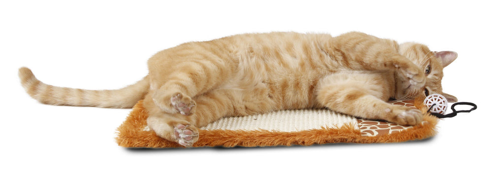 Orange tabby cat lying on brown sisal/jute hanging carpet cat scratcher with cord