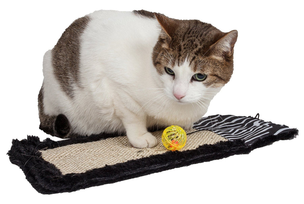 White tabby cat on black sisal/jute hanging carpet scratcher with toy ball