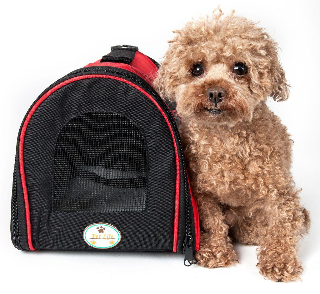 Red and black folding dog carrier with mesh front window; zipper opening and carry handle, dog
